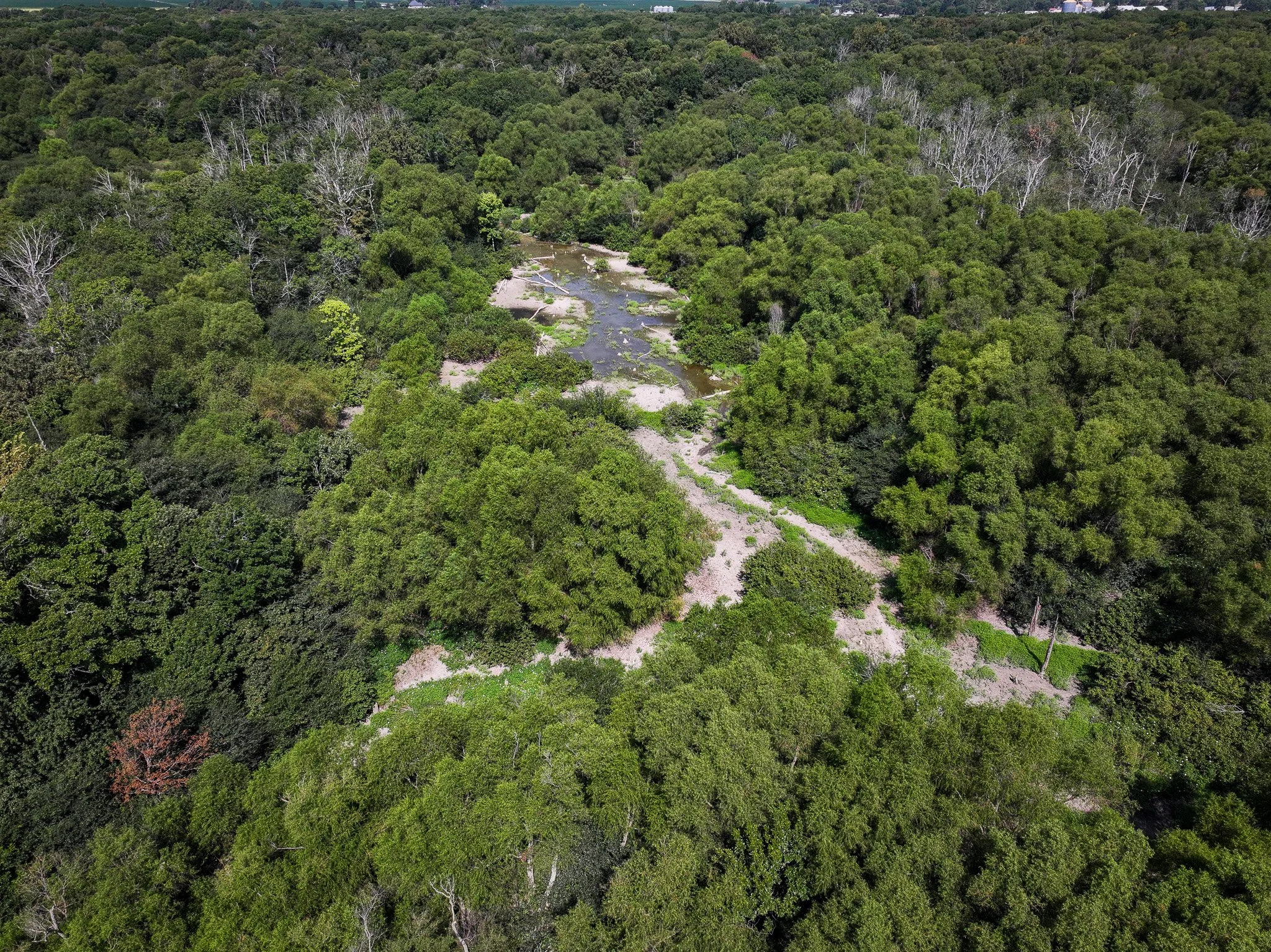 DJI_20260821110357_0151_D.jpg