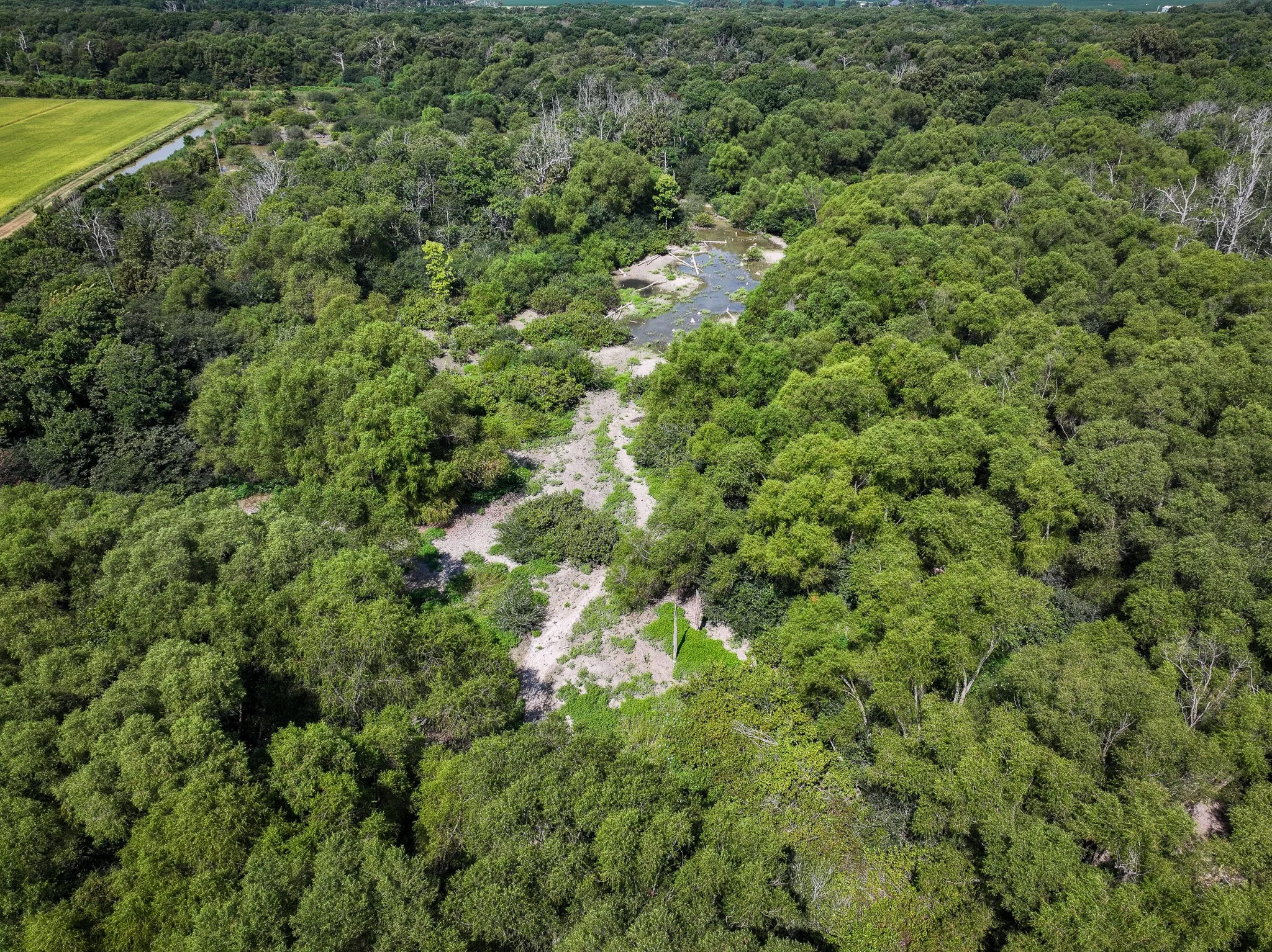 DJI_20260821110416_0153_D.jpg