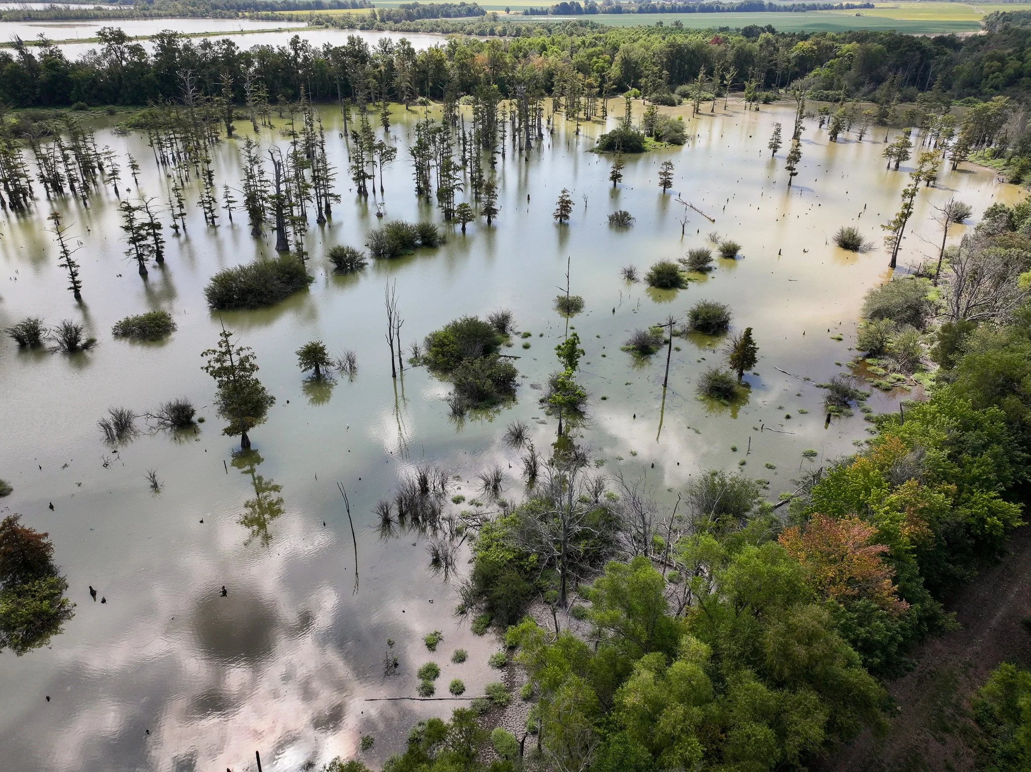 DJI_20260821112423_0172_D.jpg