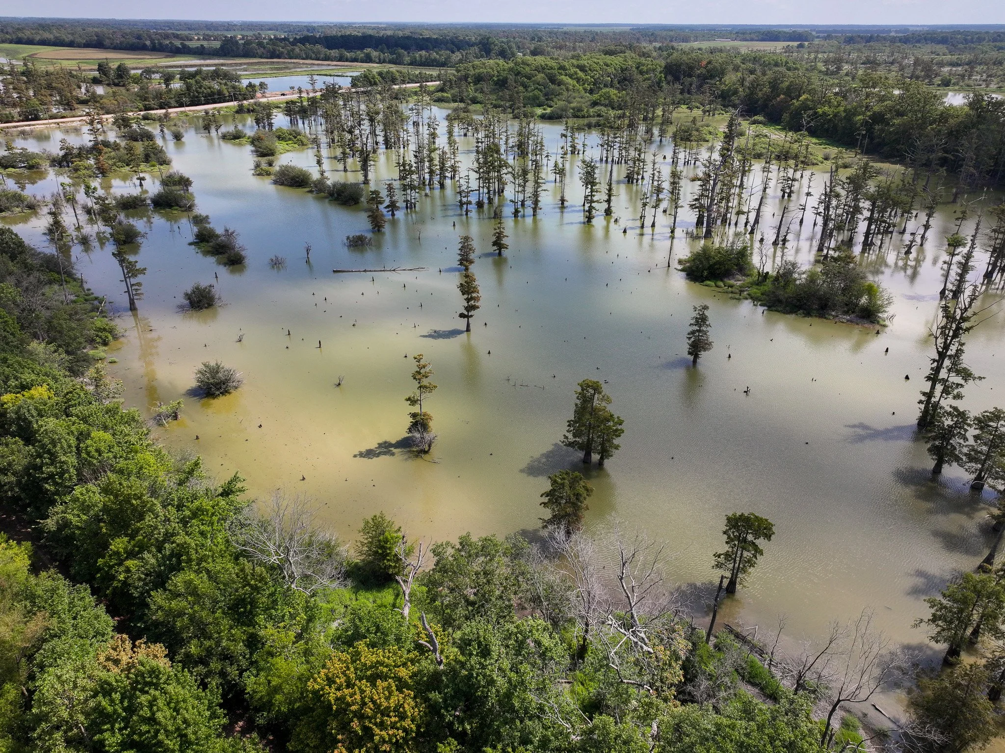 DJI_20260821112620_0178_D.jpg