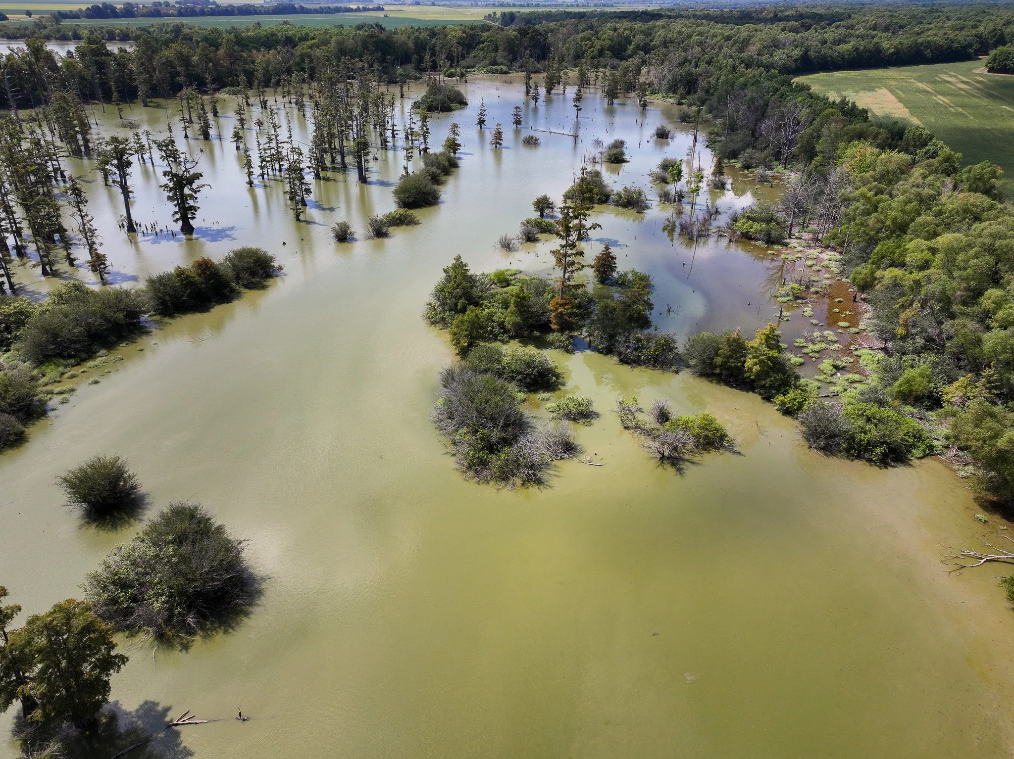 DJI_20260821112703_0179_D.jpg