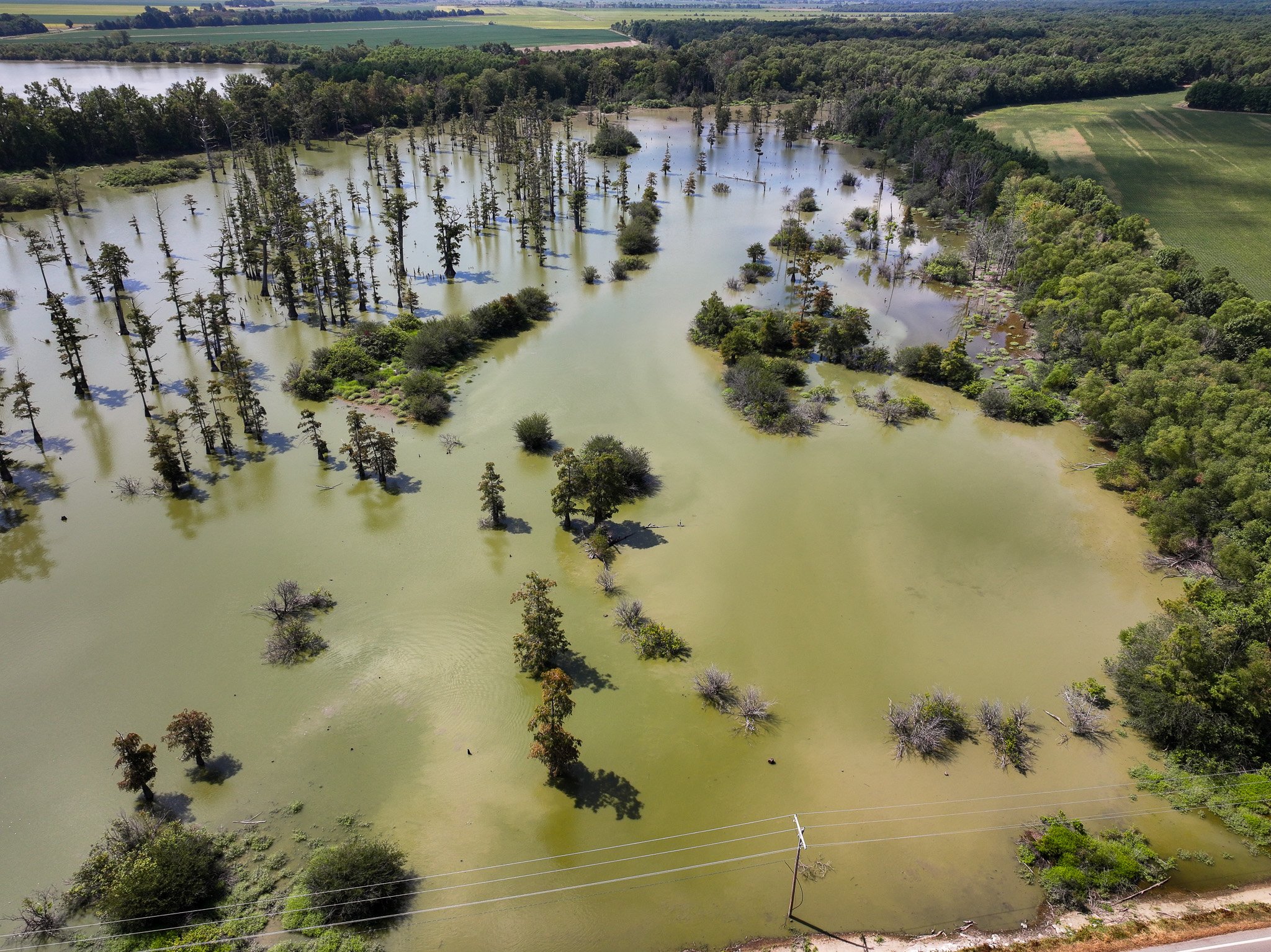 DJI_20260821112715_0180_D.jpg
