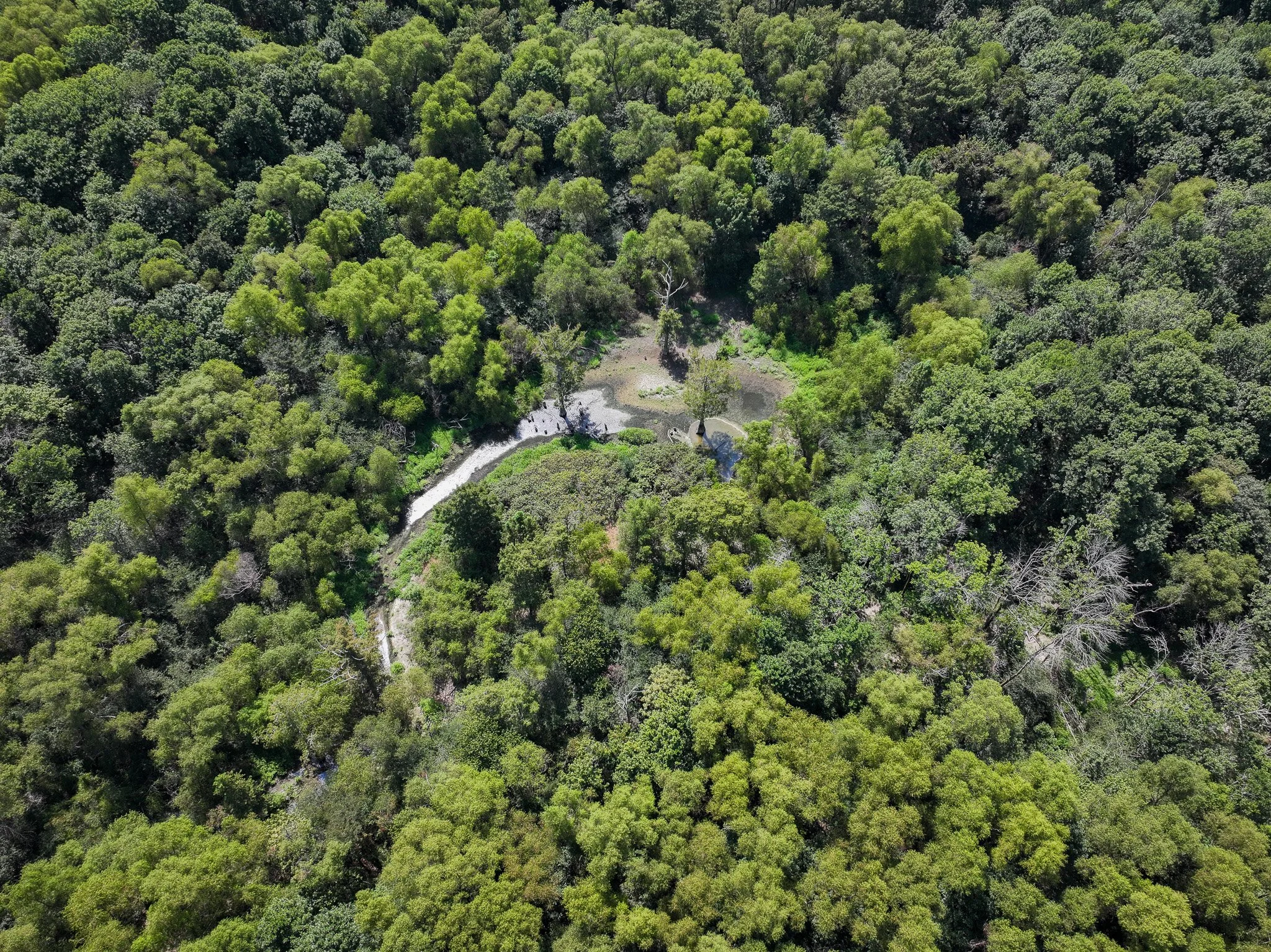 DJI_20260821114249_0189_D.jpg