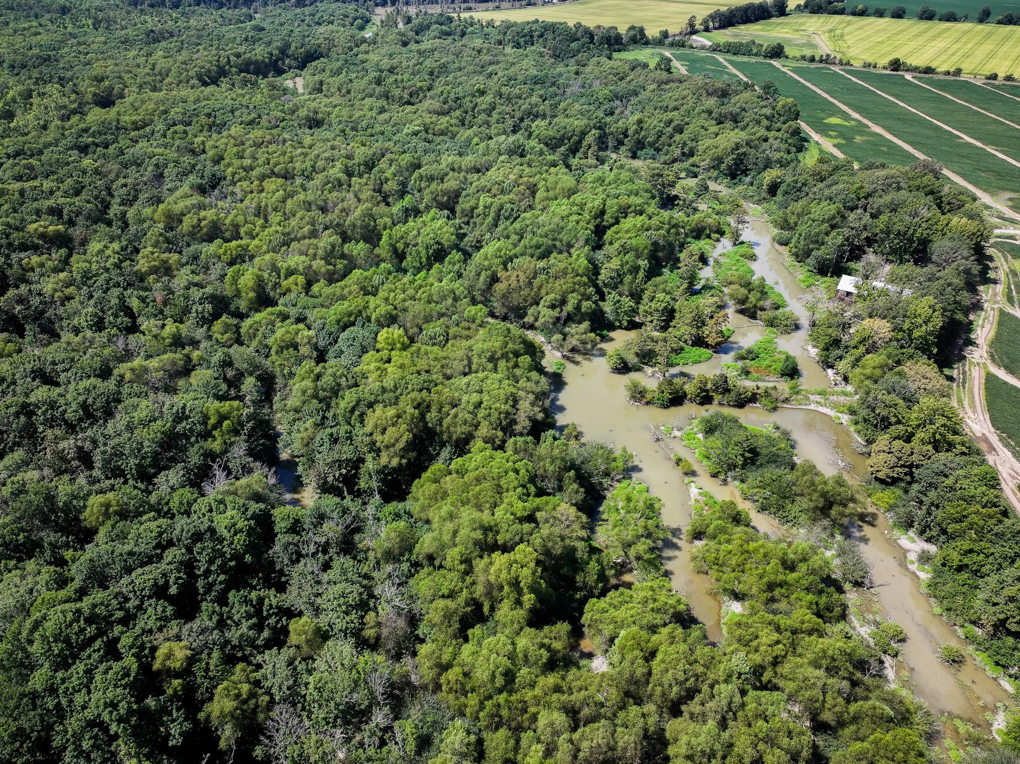 DJI_20260821114337_0191_D.jpg