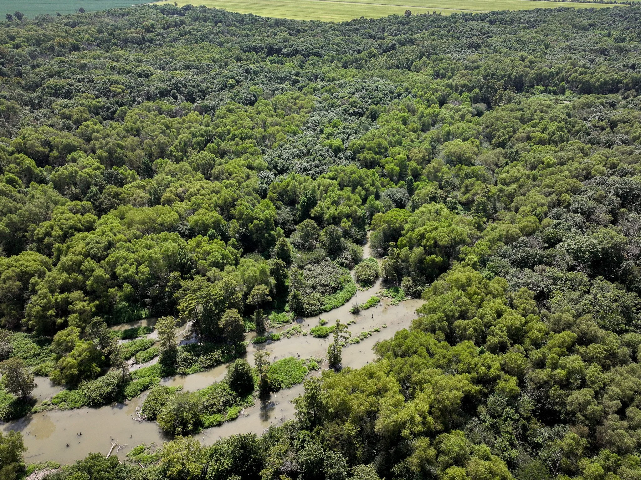 DJI_20260821115050_0199_D.jpg