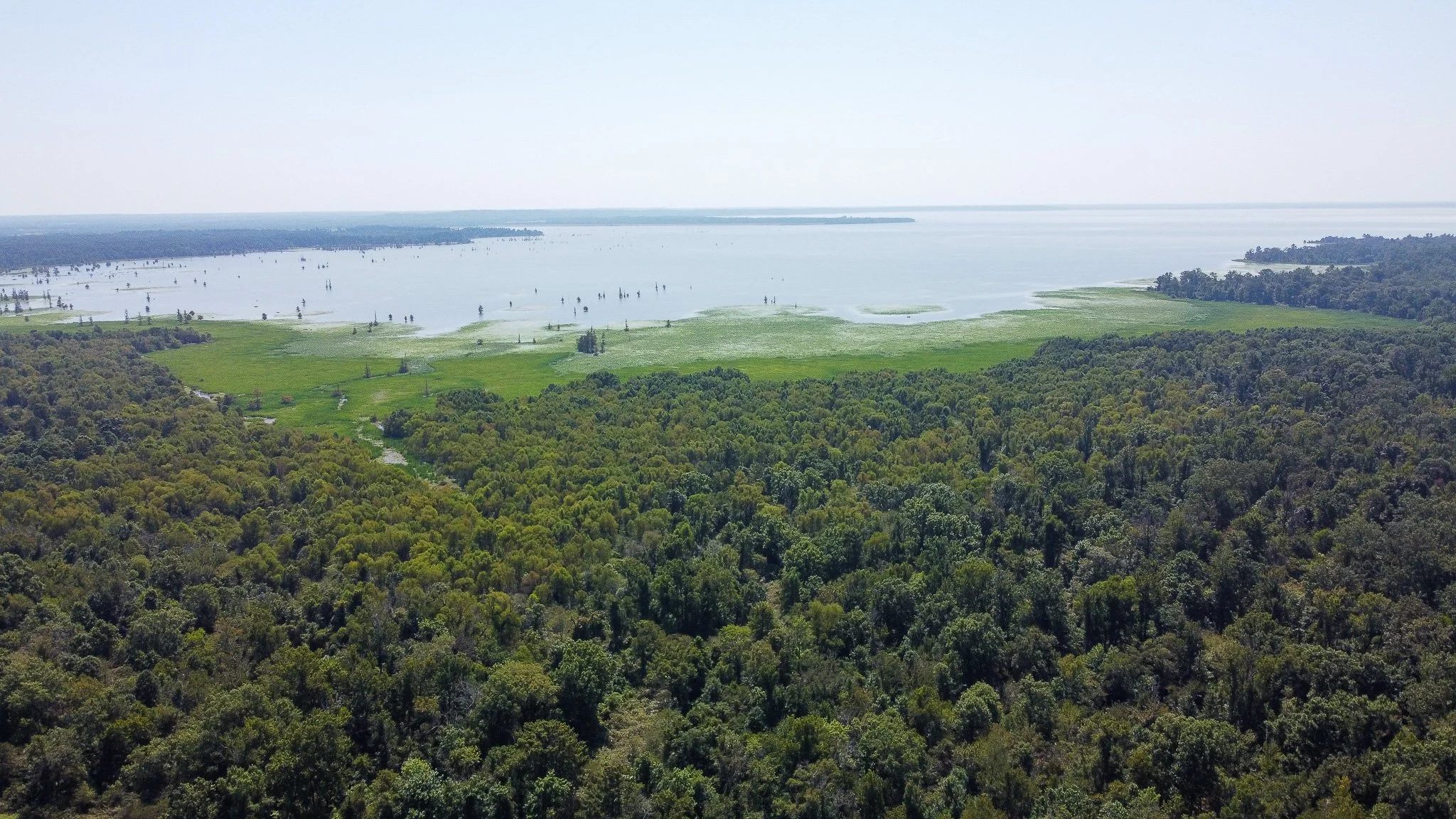 DJI_0327.jpg