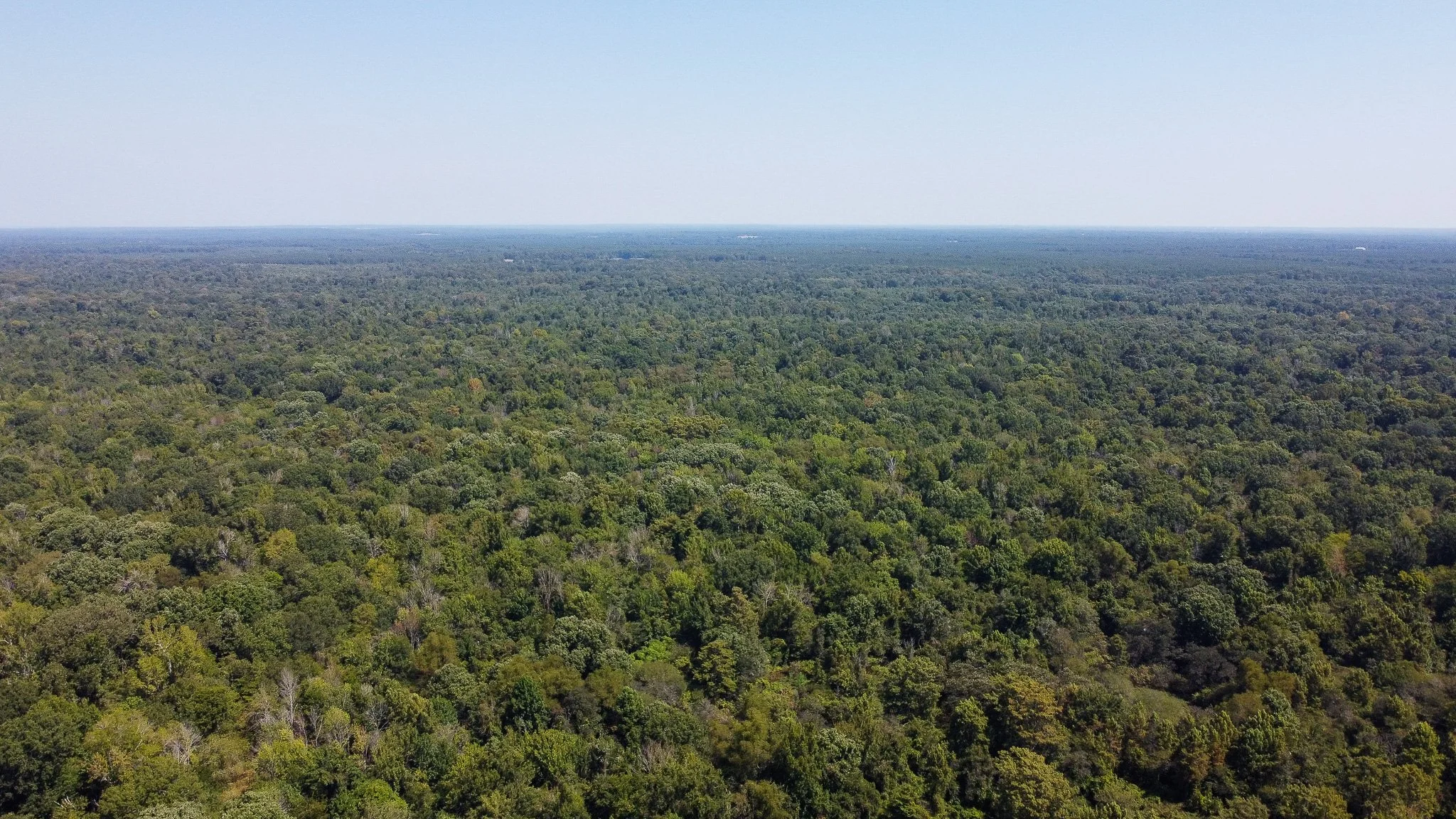 DJI_0328.jpg