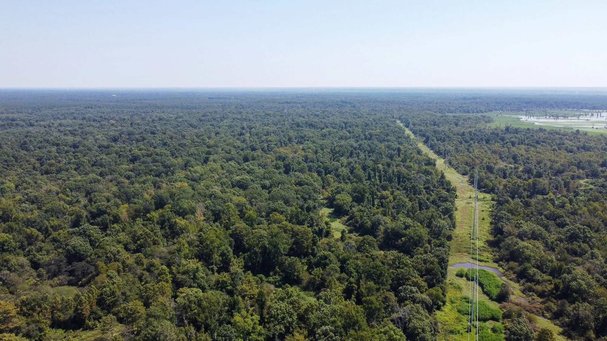 DJI_0329.jpg