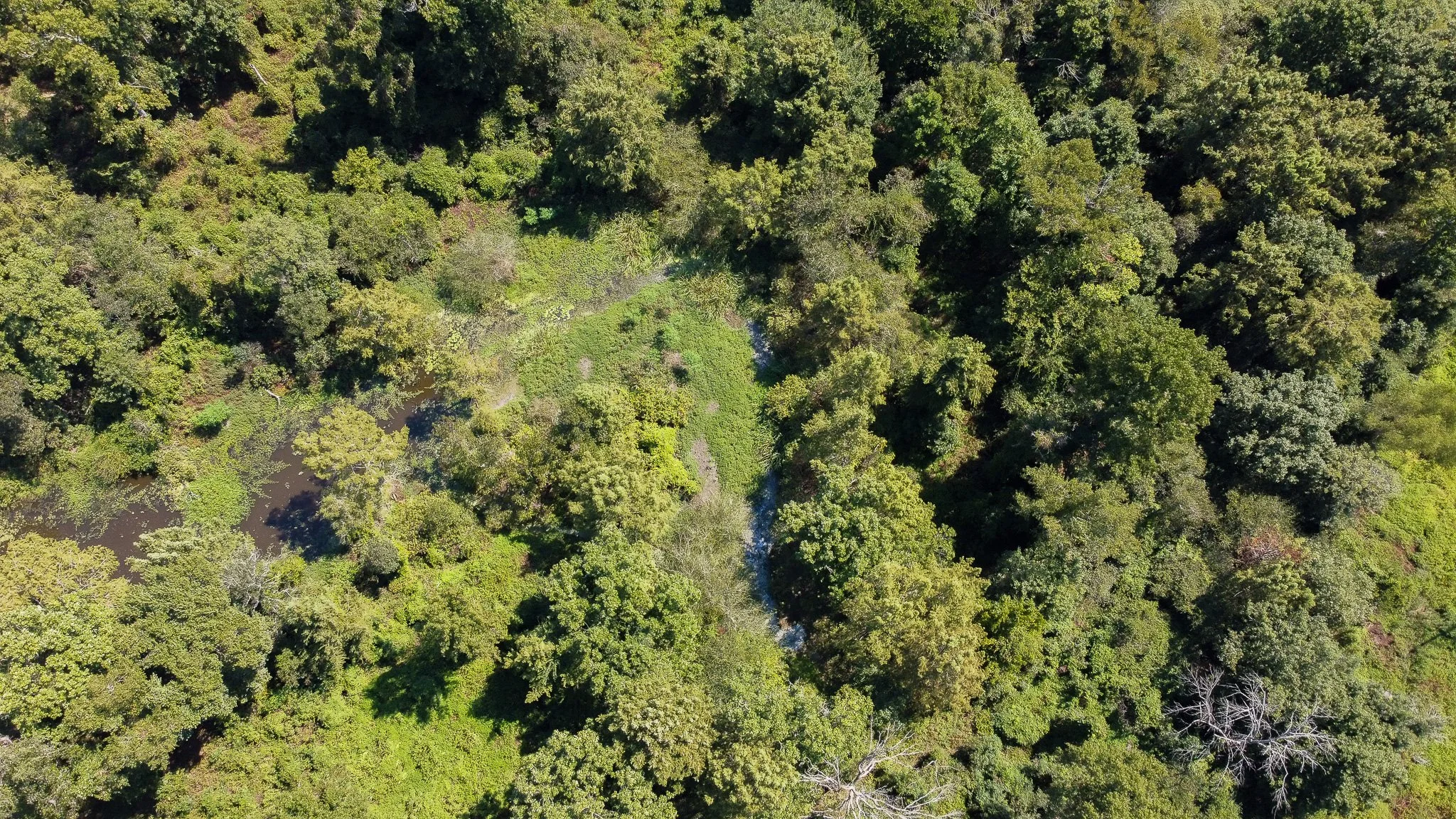 DJI_0330.jpg