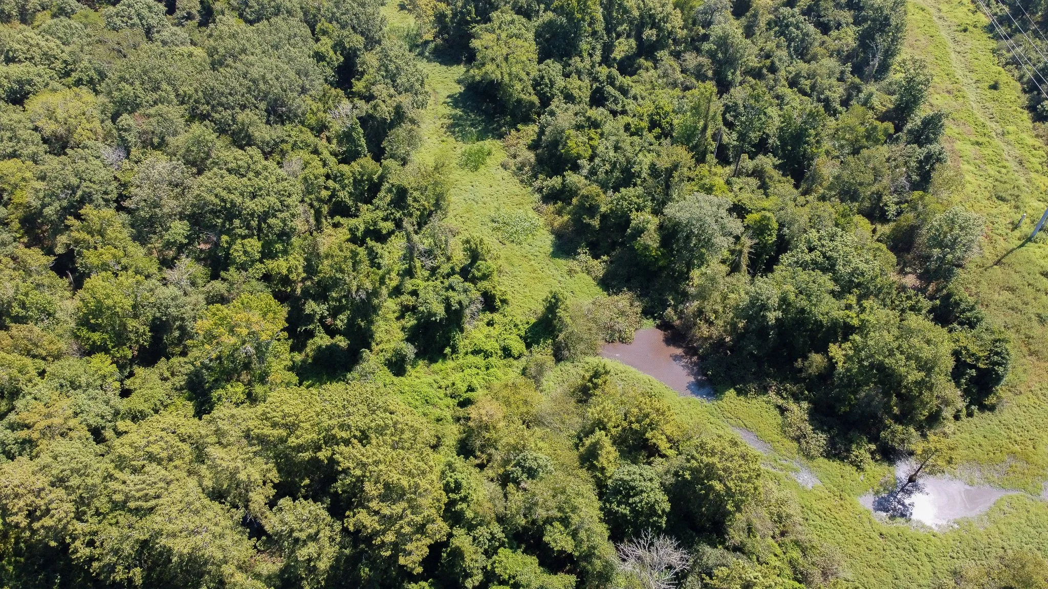DJI_0331.jpg