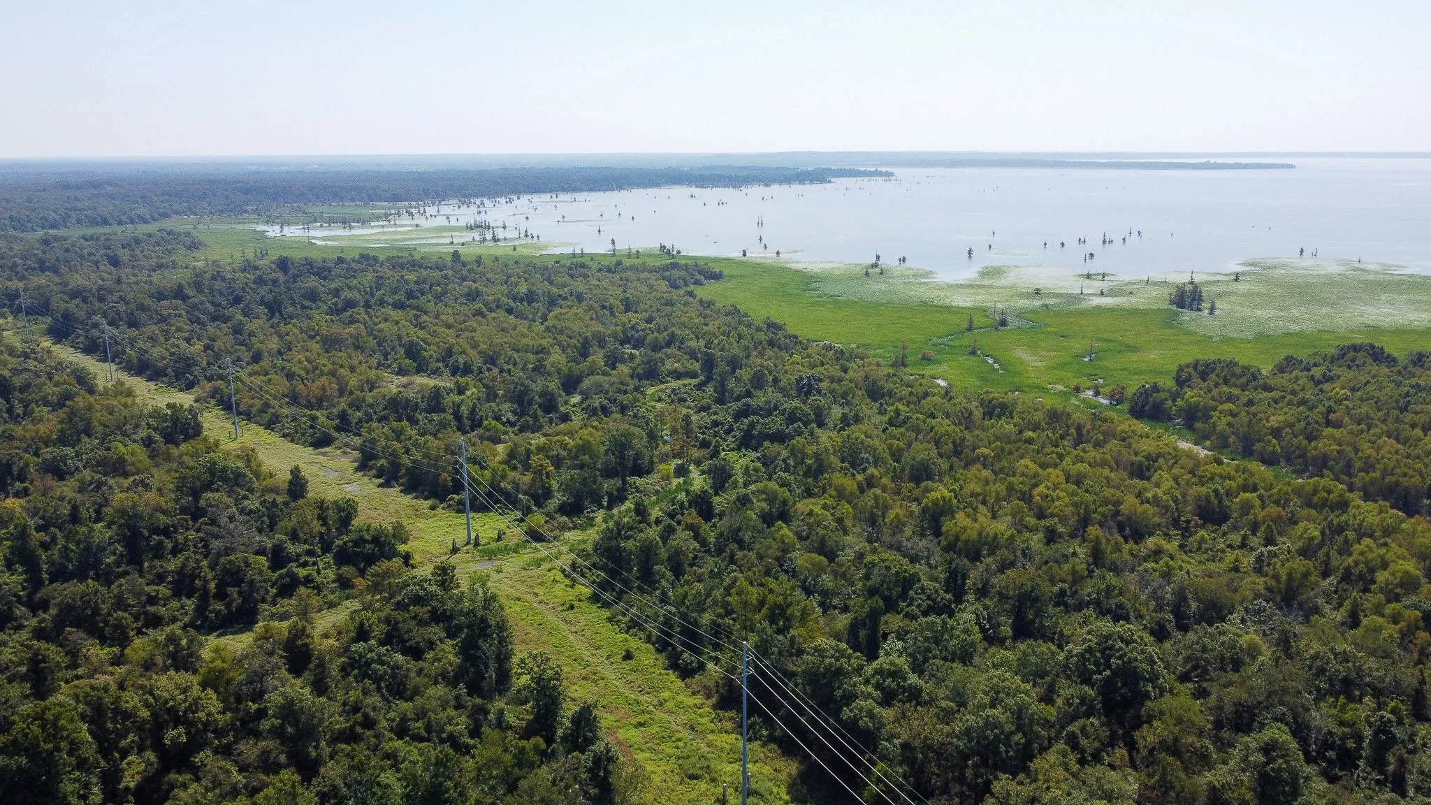 DJI_0333.jpg