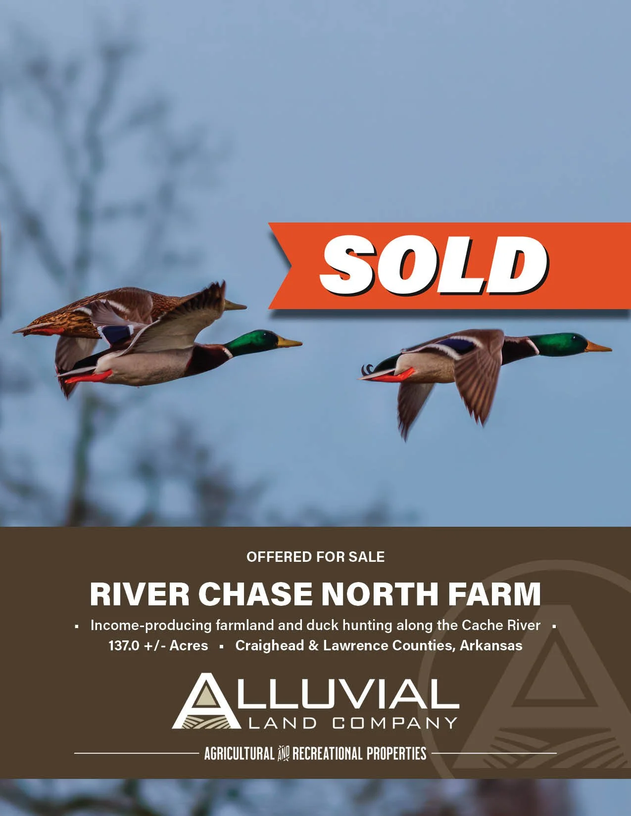 Properties — Alluvial Land Company