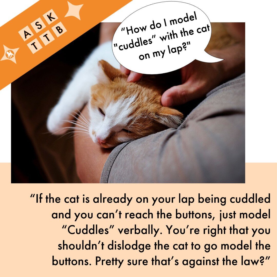 We are not lawyers! Do not take legal advice from TTB. 😹🐈

This was a great question! Sometimes it's logistically difficult to model. In this case the best approach is to model the button on the way to the couch, model verbally while cuddles are ha
