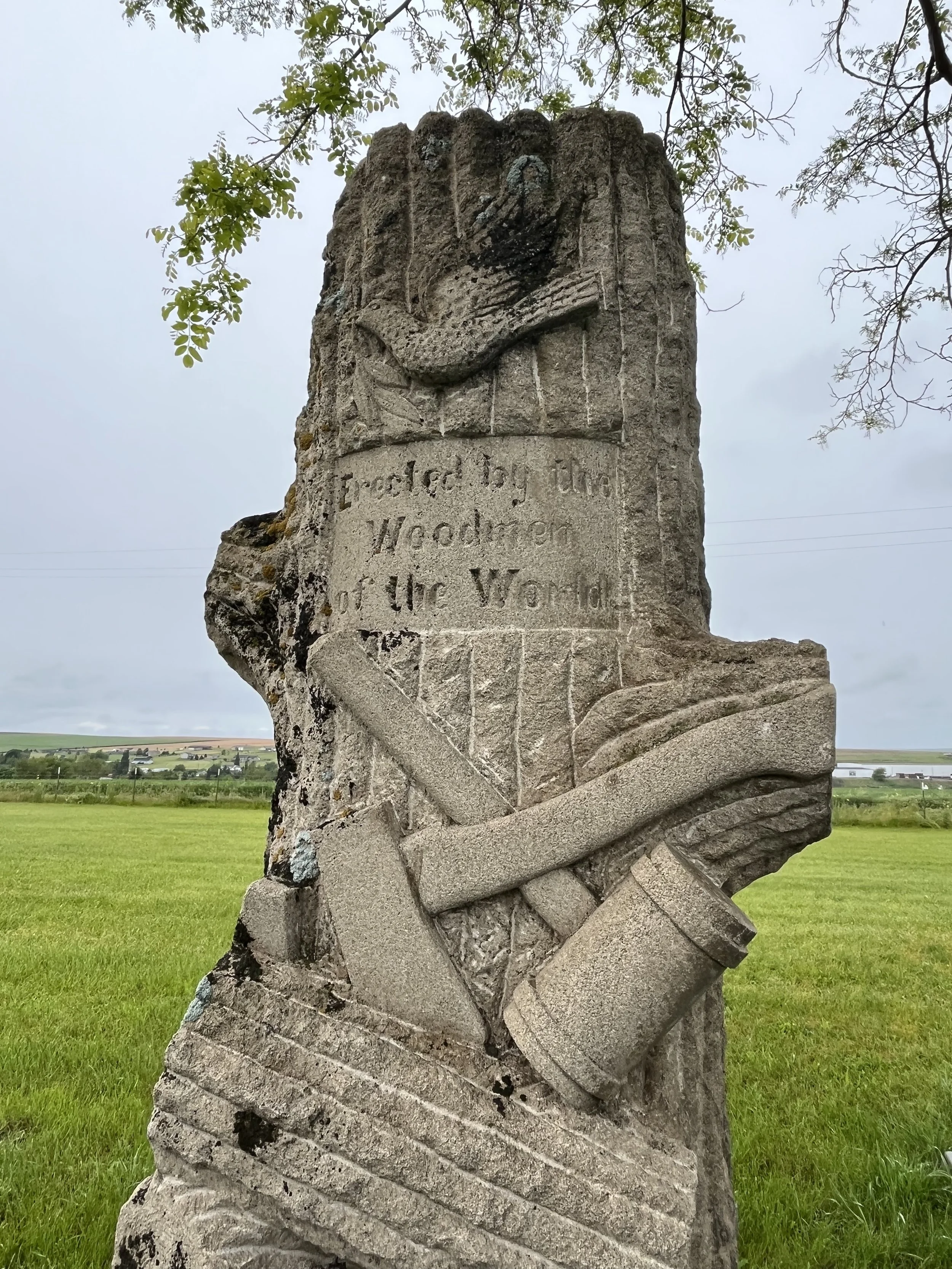 9CED75AF-C9C8-41A7-B54C-0CCD02DD6D14 copy.jpg