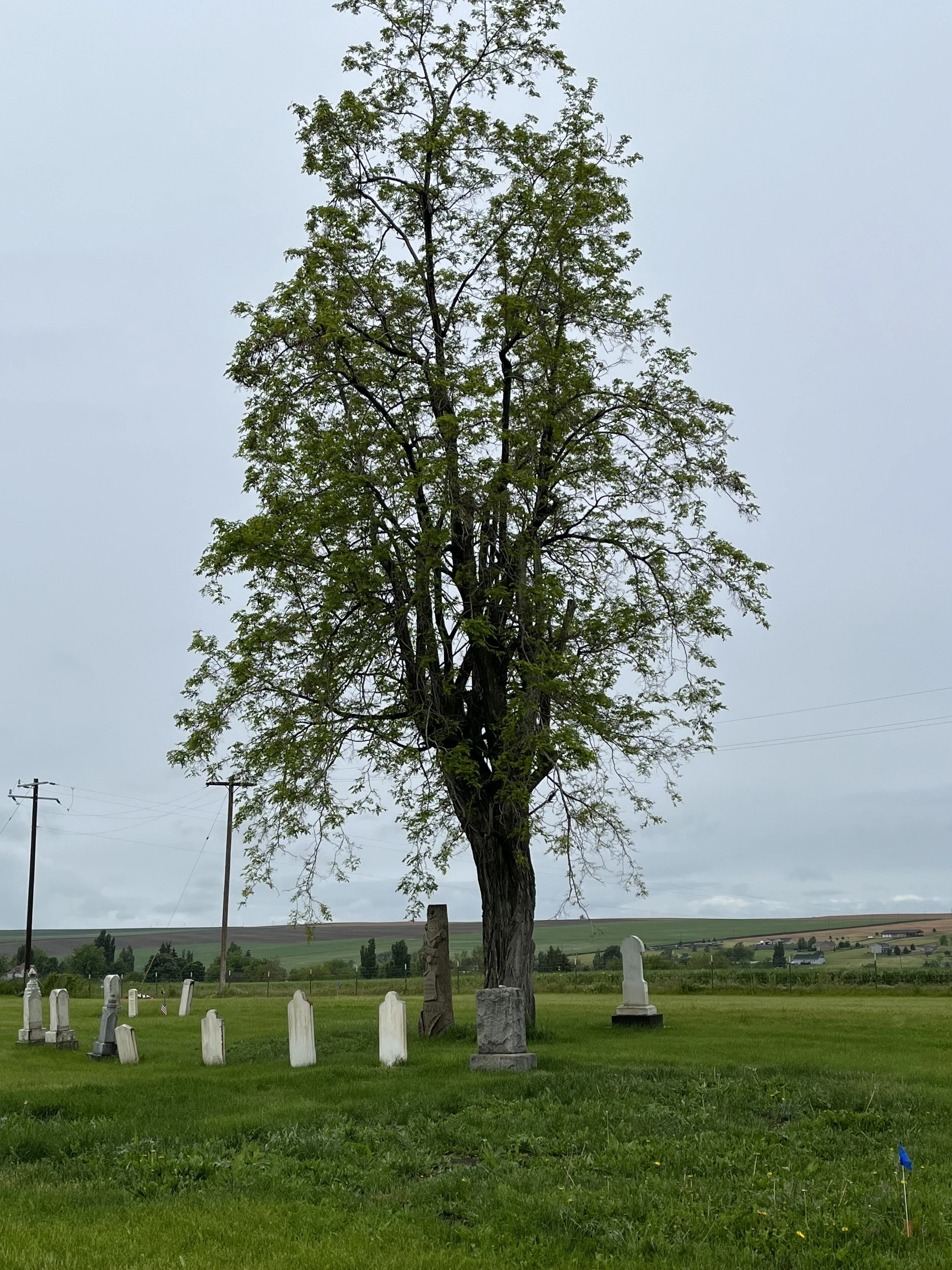 08C0C4D5-D0E6-462F-8551-D9FEAAA2816D copy.jpg