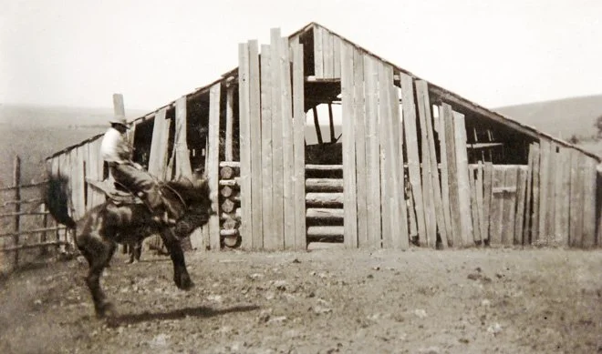 532-06 Lieuallen bronc 660x389.jpeg