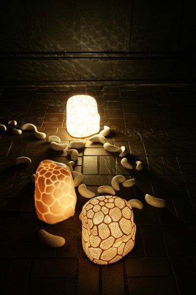 2007light1.jpg