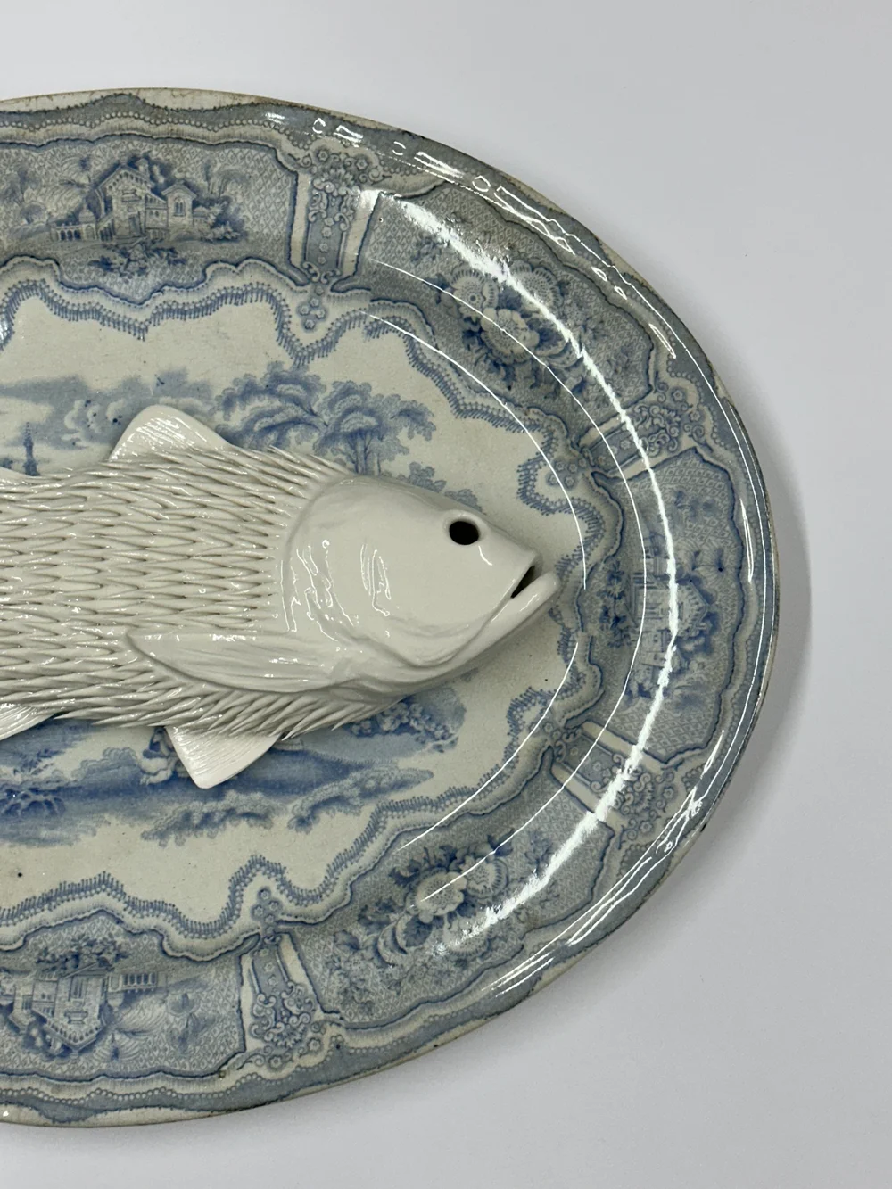 I ate lots of plastics, and now I am your dinner. Enjoy! — IKUKO