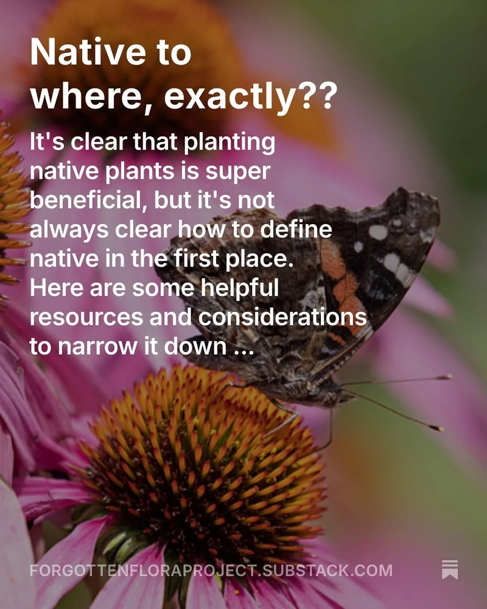 Next newsletter issue is out now! Featuring some of my favorite tools for determining what&rsquo;s native to an area and diving into determining how native a native plant should be (this often depends who you ask) and when it matters most! 

Some fav