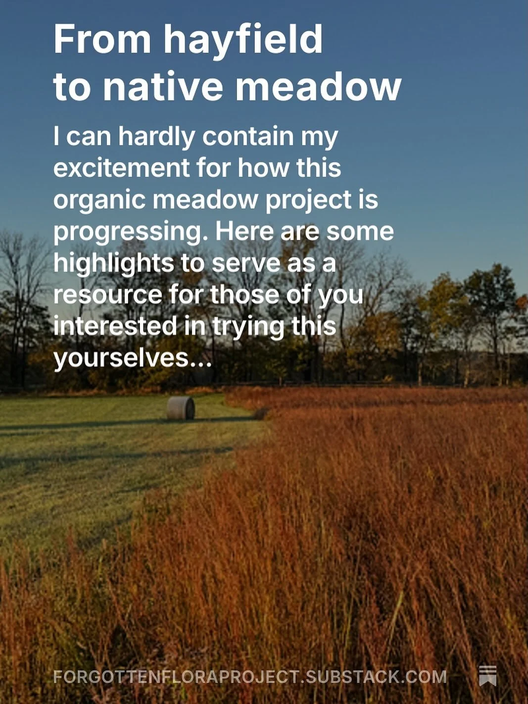 Latest newsletter issue just hit inboxes! All about this exciting organic native meadow installation project! Subscribe to my free newsletter at link in bio to learn all about it! 

#nativemeadow #ecologicallandscaping #ecology #nativeplants #meadow 