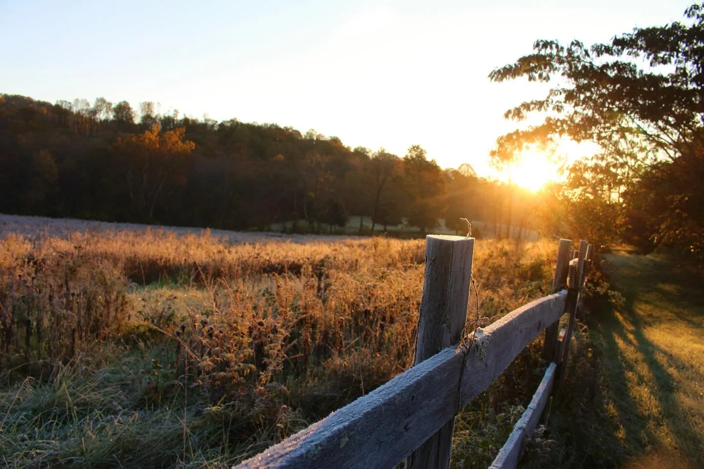 Happy Solstice! So grateful for the return of the sun and lengthening of days ☀️✨🙌
