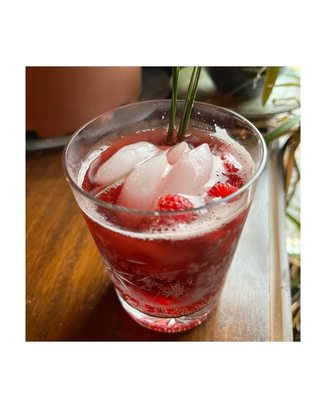 Perfect for #dryjanuary! Some of my favorite herbal preparations using pine and spruce! 

To get some of my fav recipes and learn flavor profiles of some common evergreens, subscribe to my substack and look at the archive from my December newsletter 