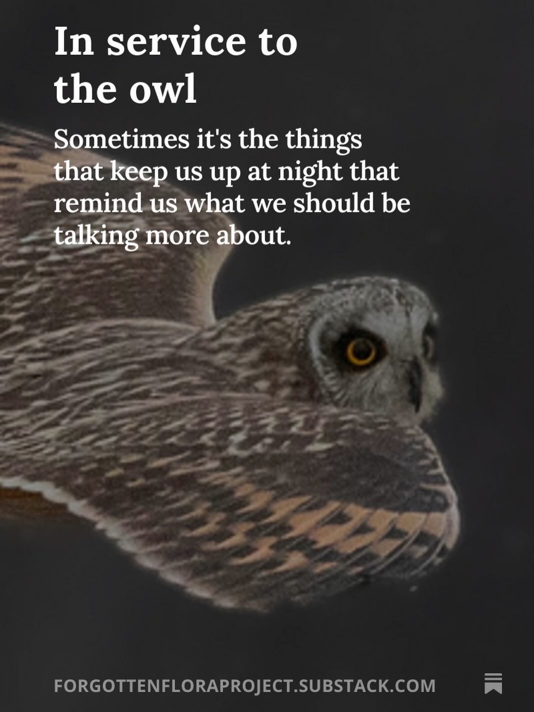 Read the full newsletter and subscribe for my weekly content on substack at the link in bio. 

Shoutout to some fantastic local orgs in this newsletter: @piedmontenviron @piedmontdiscoverycenter @clifton.institute @dcrvirginia 

#conservation #native