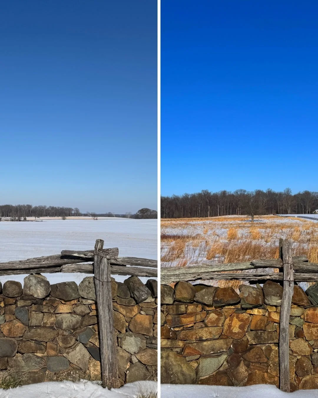 When there&rsquo;s snow, it&rsquo;s so easy to see where all the critters like to spend their time! Native meadows left tall throughout the winter are an endlessly valuable resource for wildlife, providing food (tons of grass seed in there) and shelt