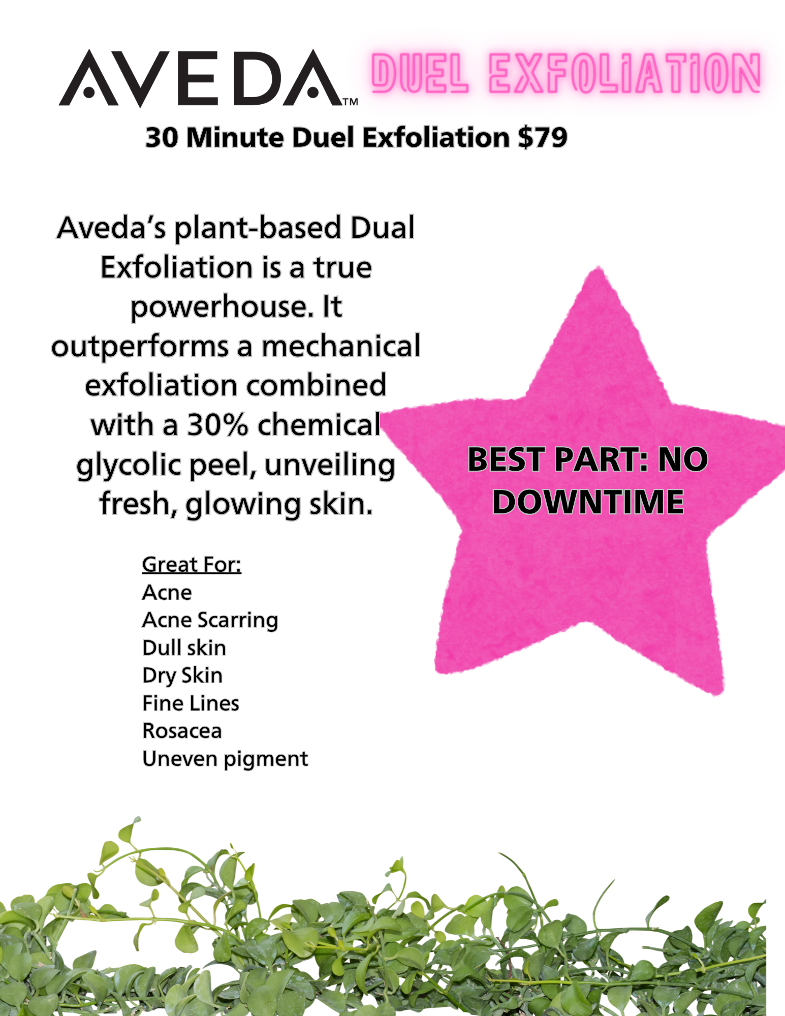Duel Exfoliation  Aveda's plant based