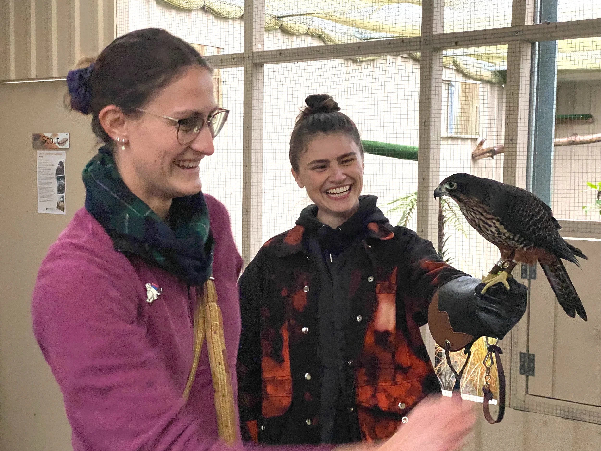 Holly Chloe Scout 14 Jun 20243440 (4).JPG