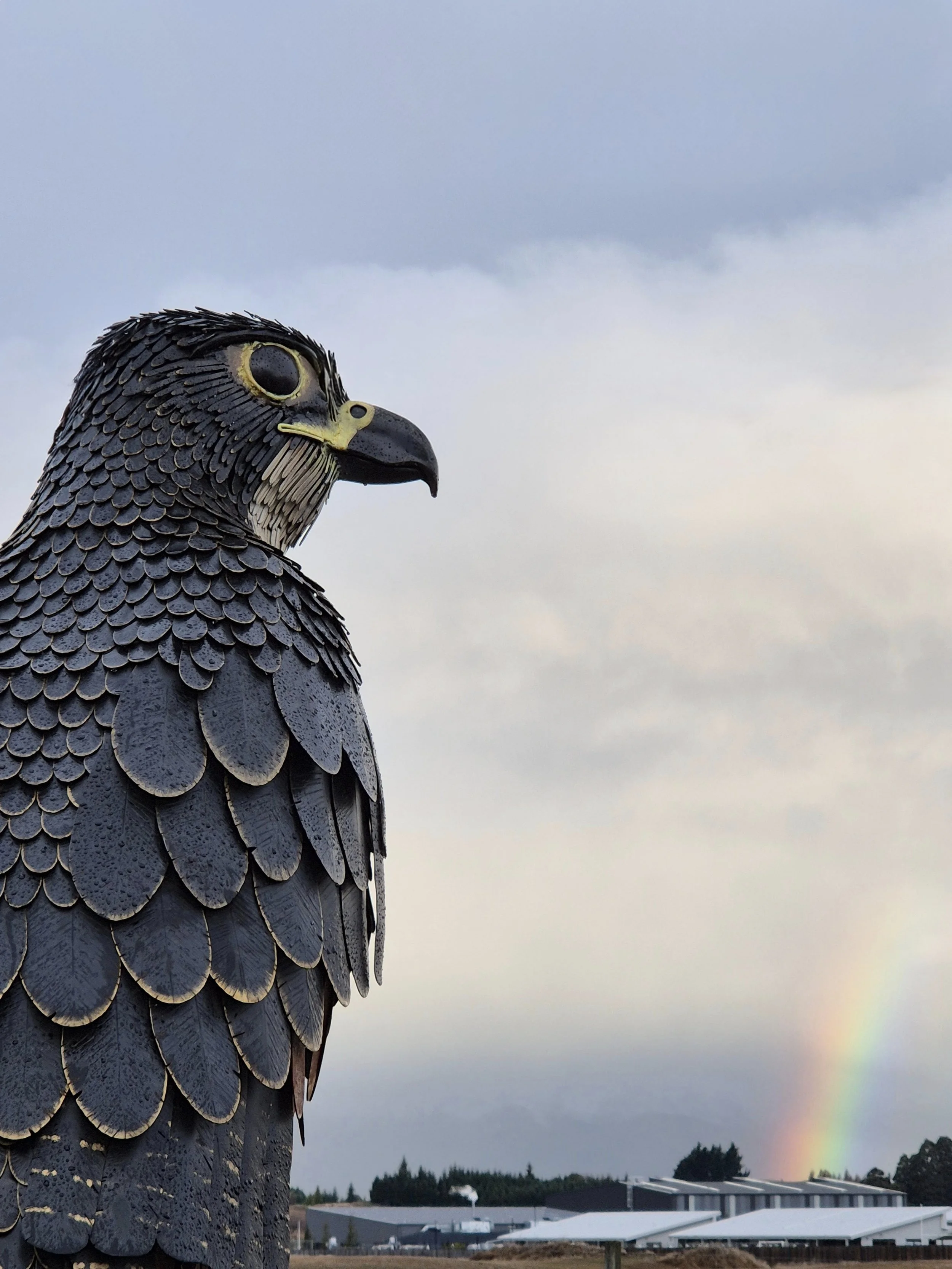 Falcon's Watch (1).jpg