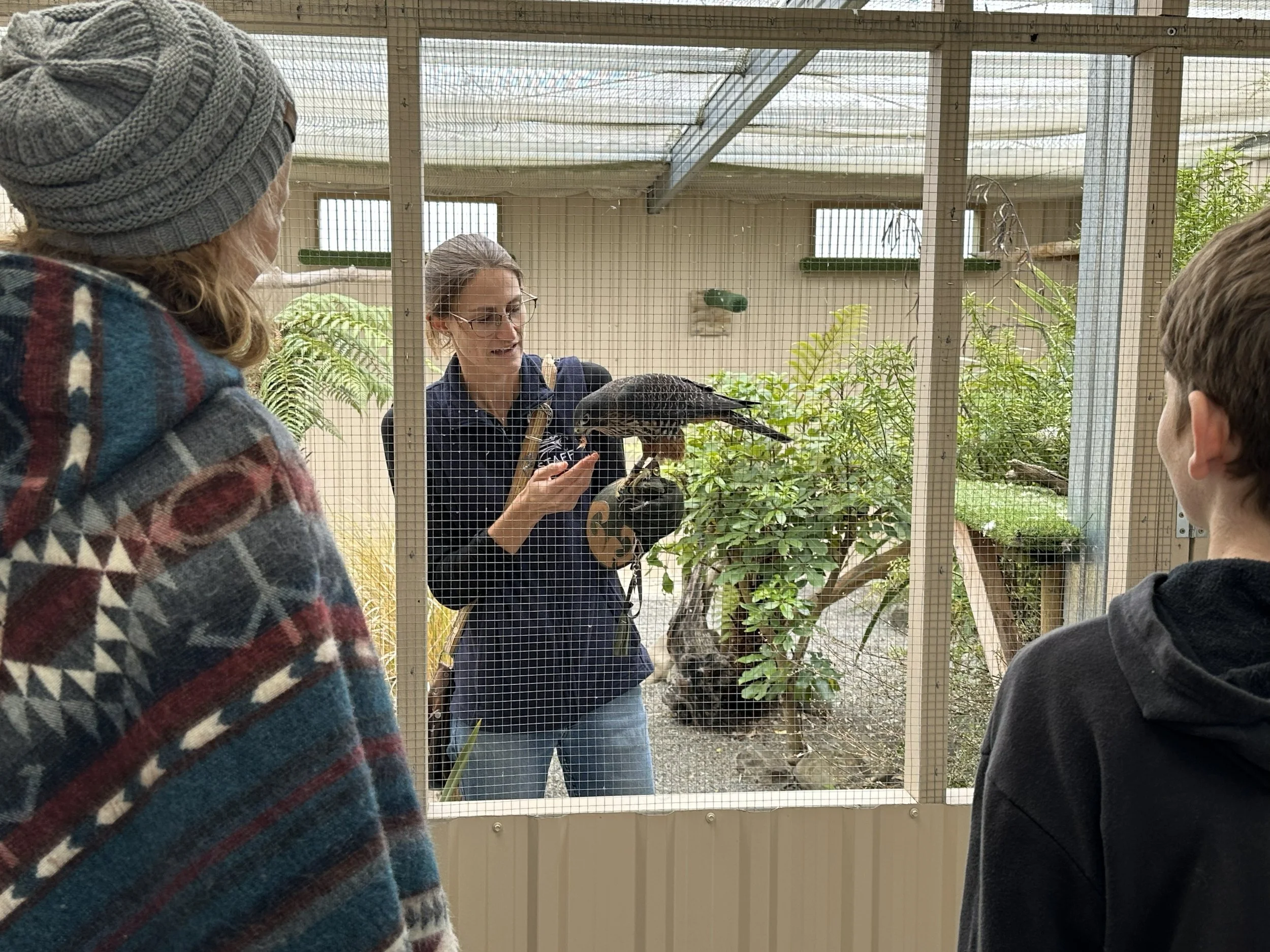 Avairy walkthrough Scout demo 3.jpg