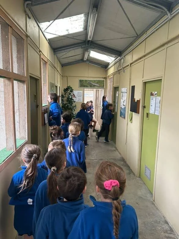 5b7ac9d9-2f07-4c98-a765-39badf564cf7 (2).JPG