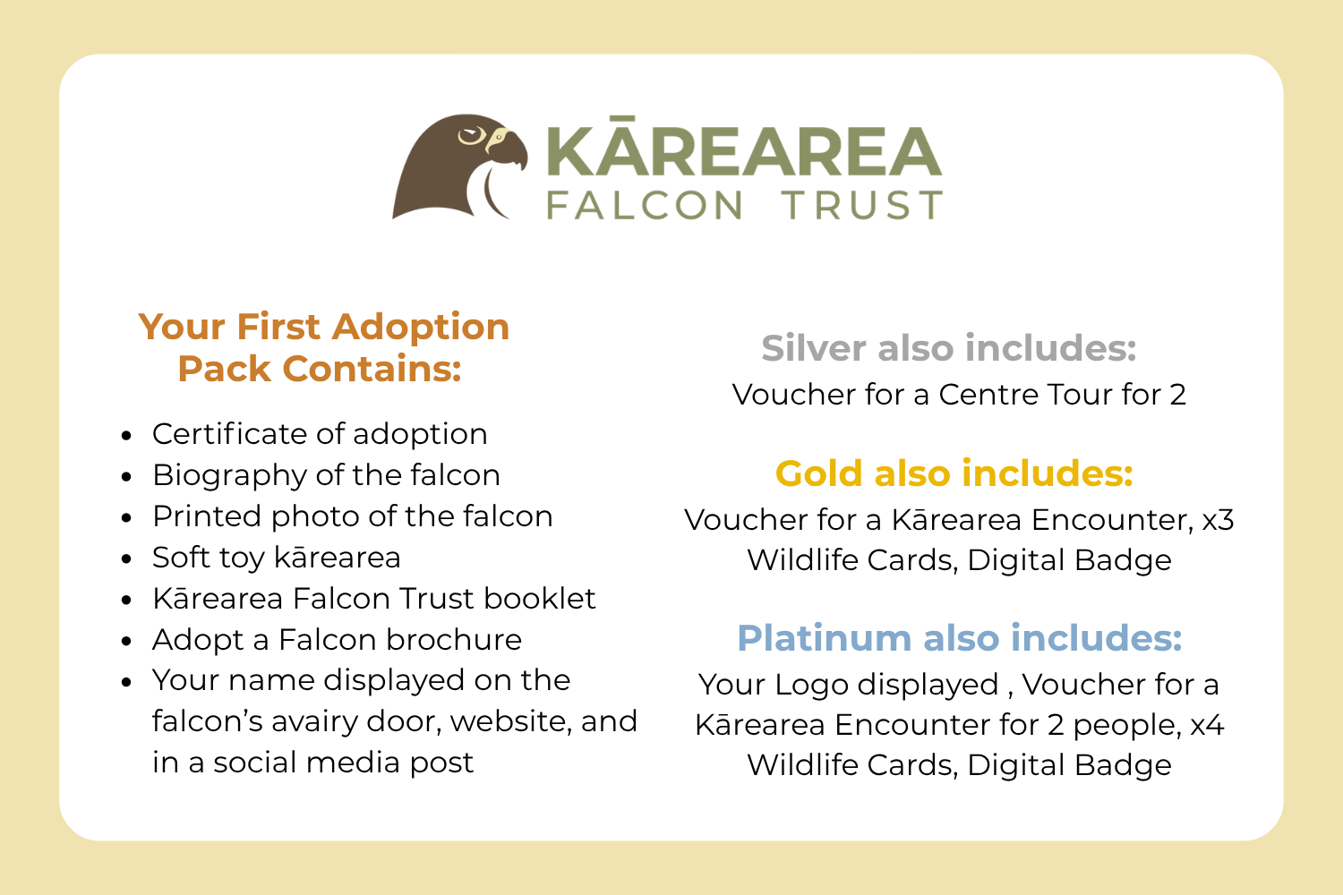 AAF blurb for Fundraising Shop.png