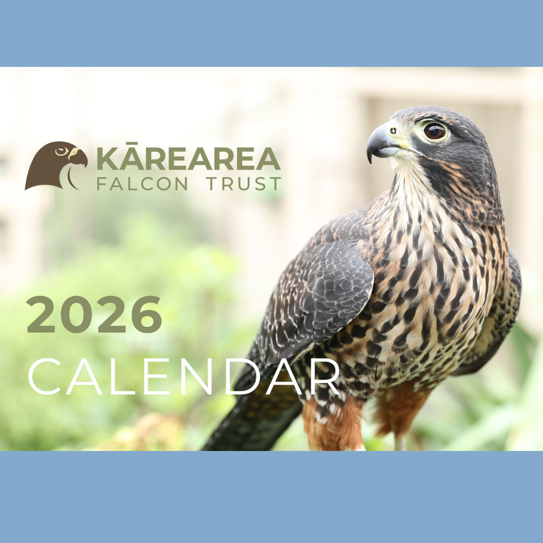 Copy of 2025 Calendar Order Squarespace Shop (3).png