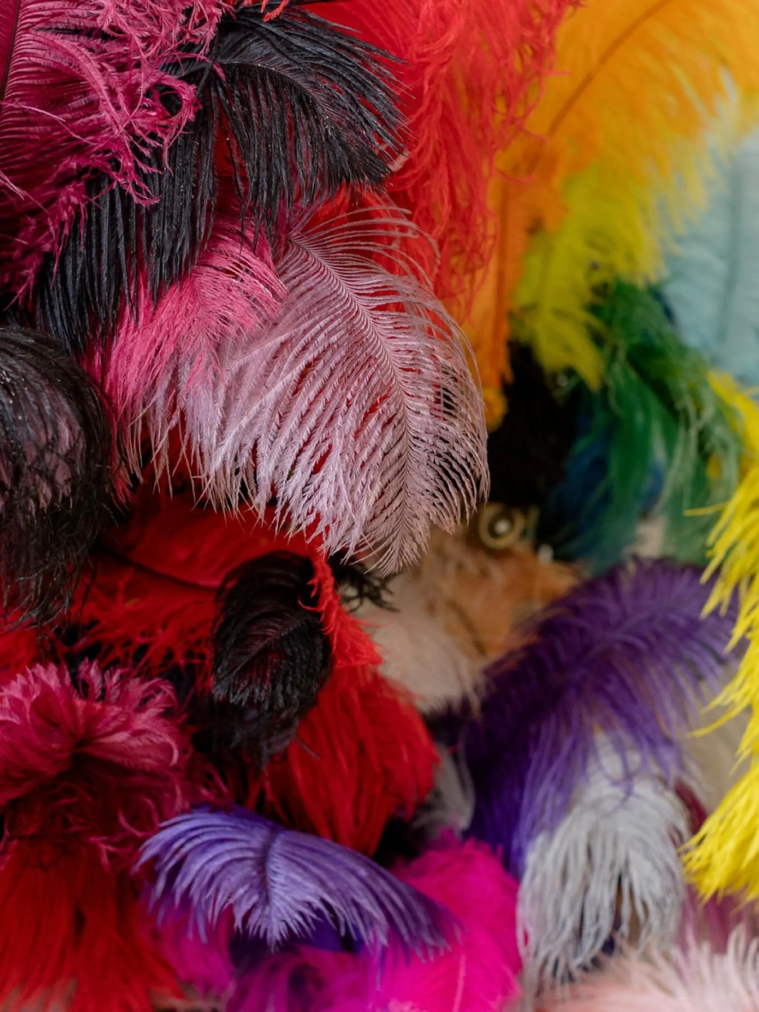 No shortage of colorful options around here 🌈✨