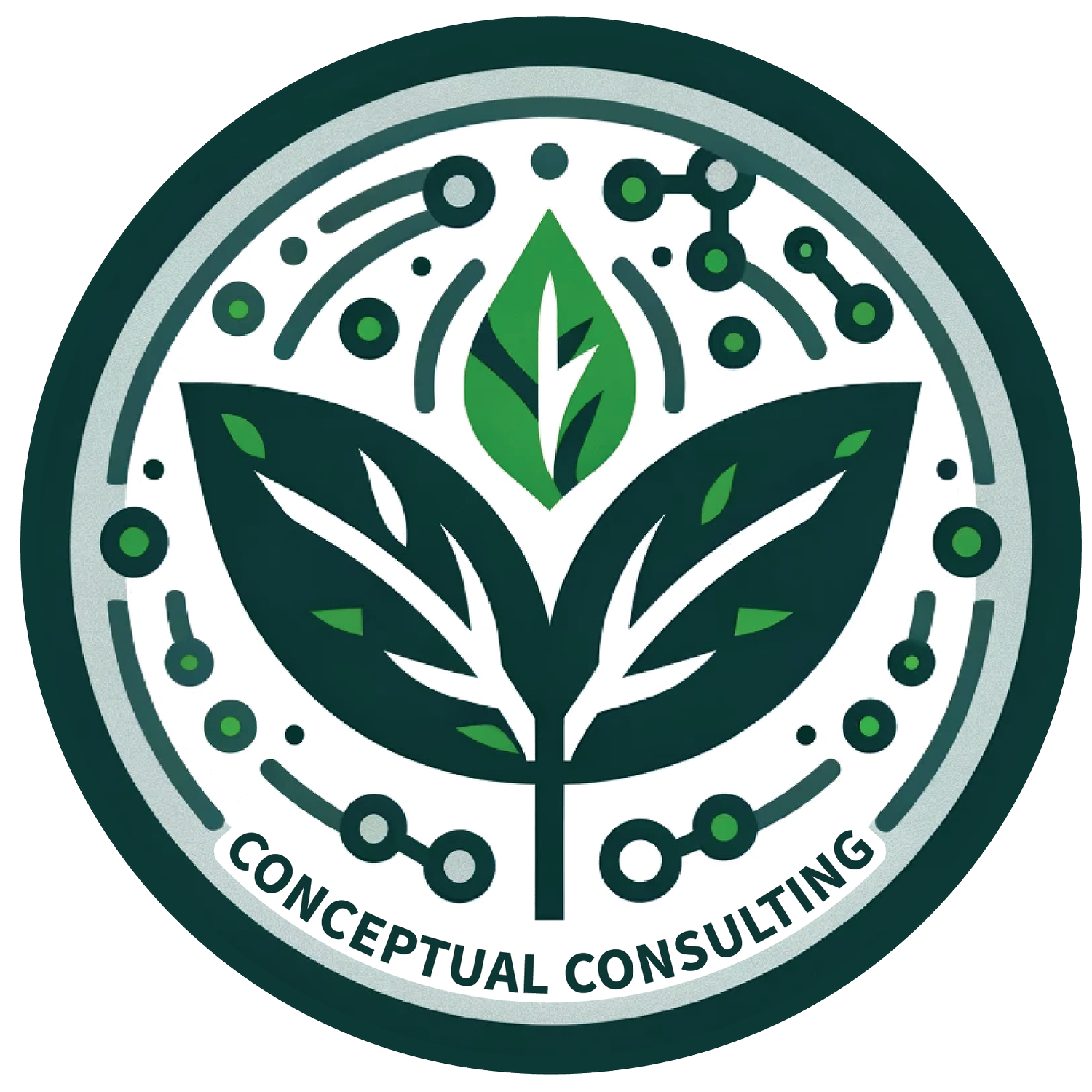 Conceptual Consulting