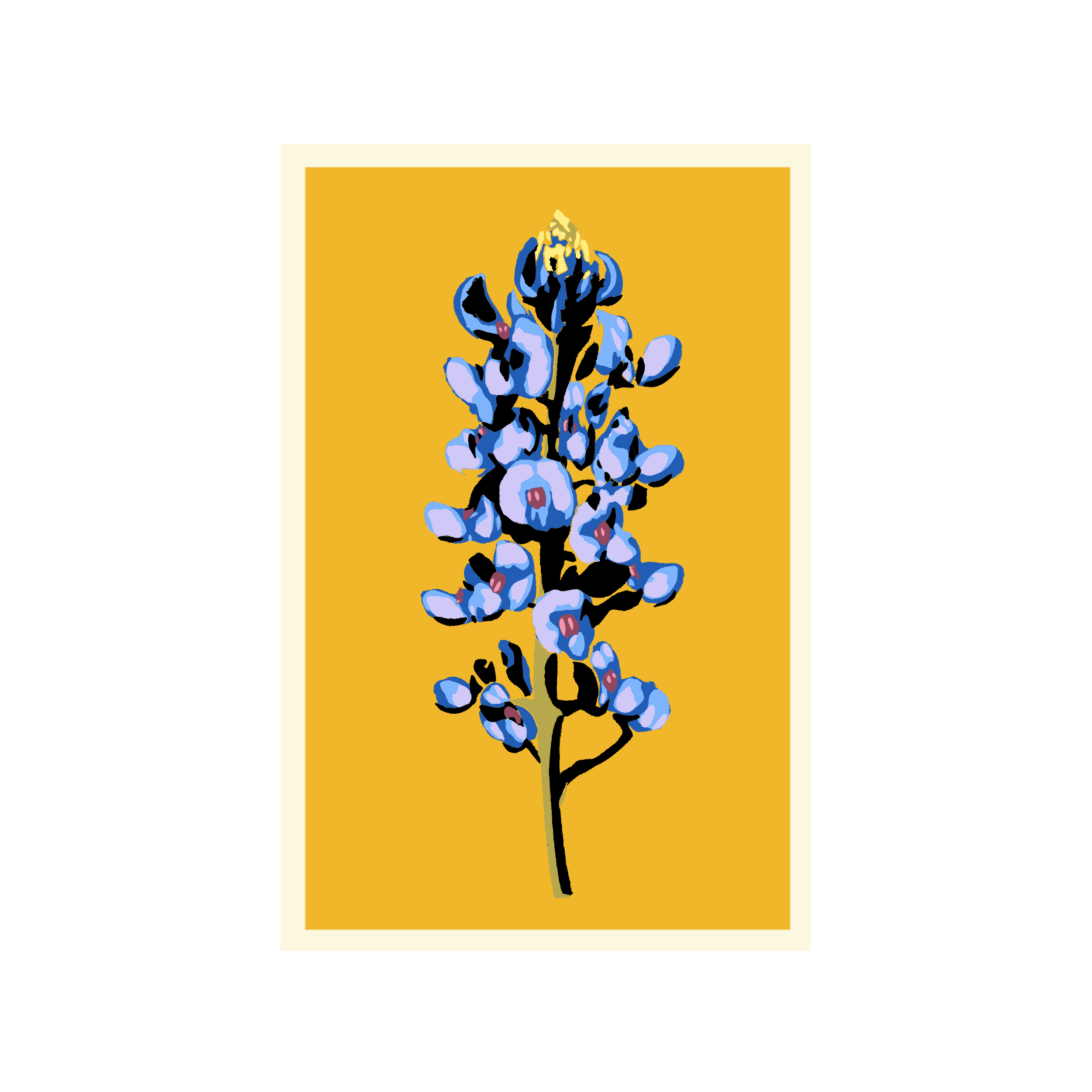 BB 20x30_us_gold.png