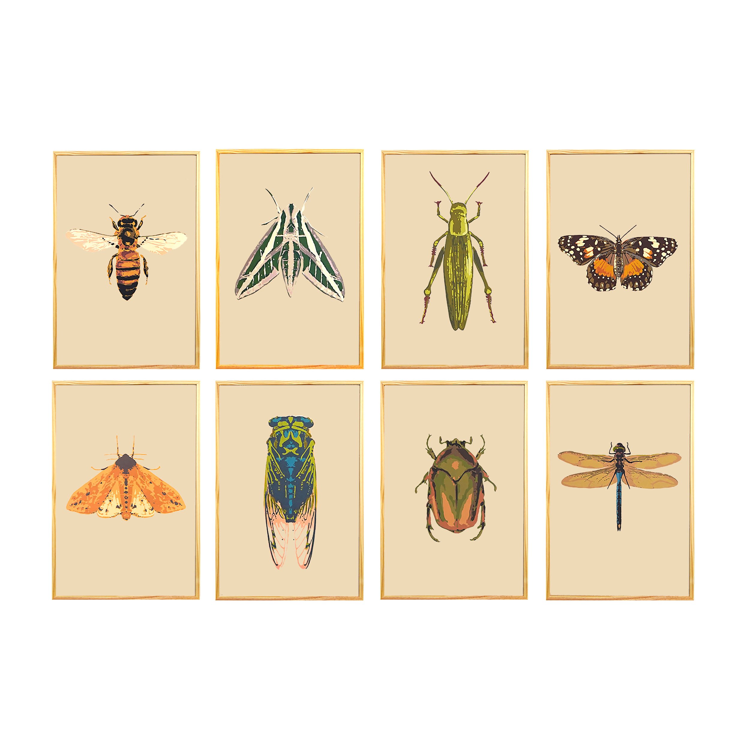 Bug Grid_Square (2).jpg