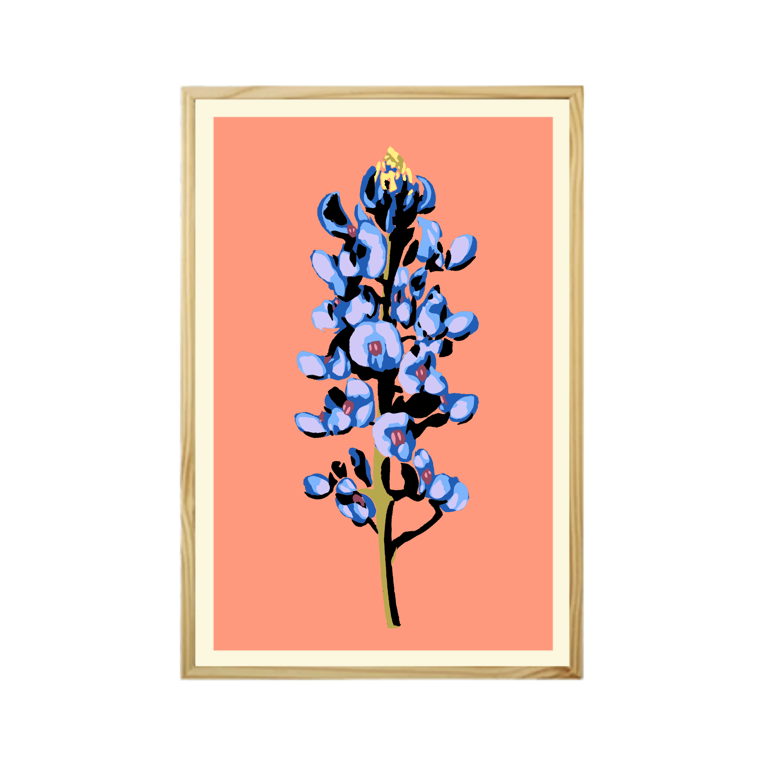 BB 20x30_sq_Coral.png