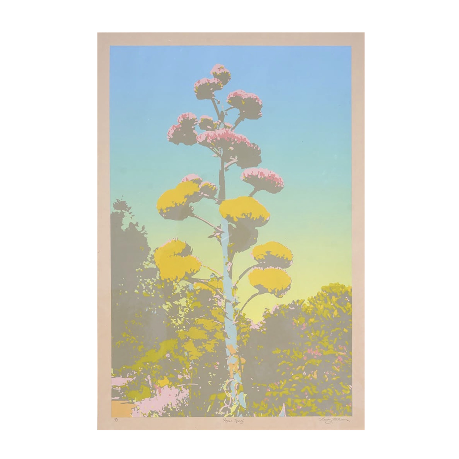 Agave Spring.png