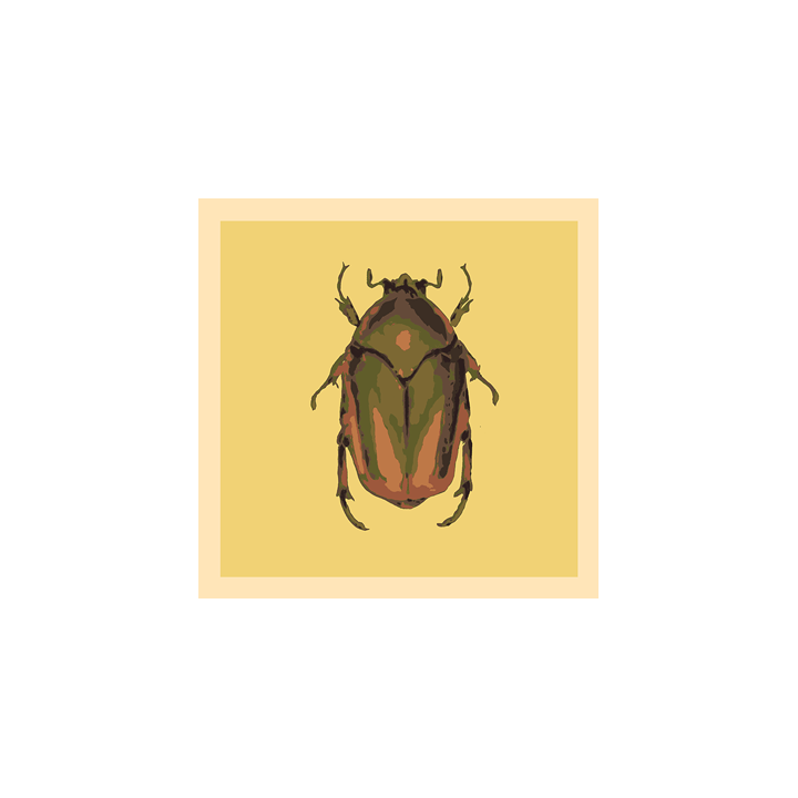 June Bug_web 2.png