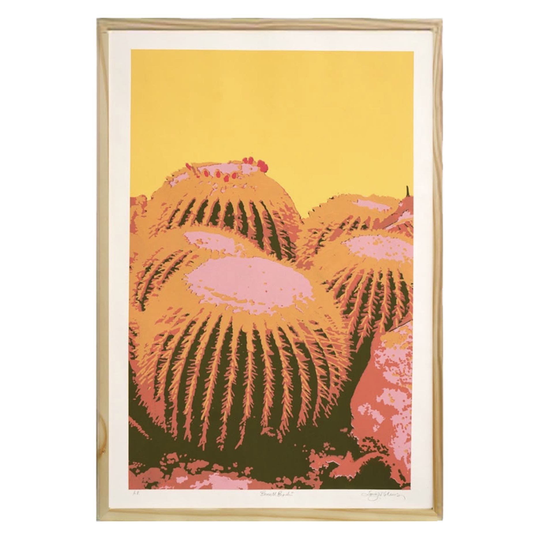 Succulent Party, Barrel Cactus  20x30"