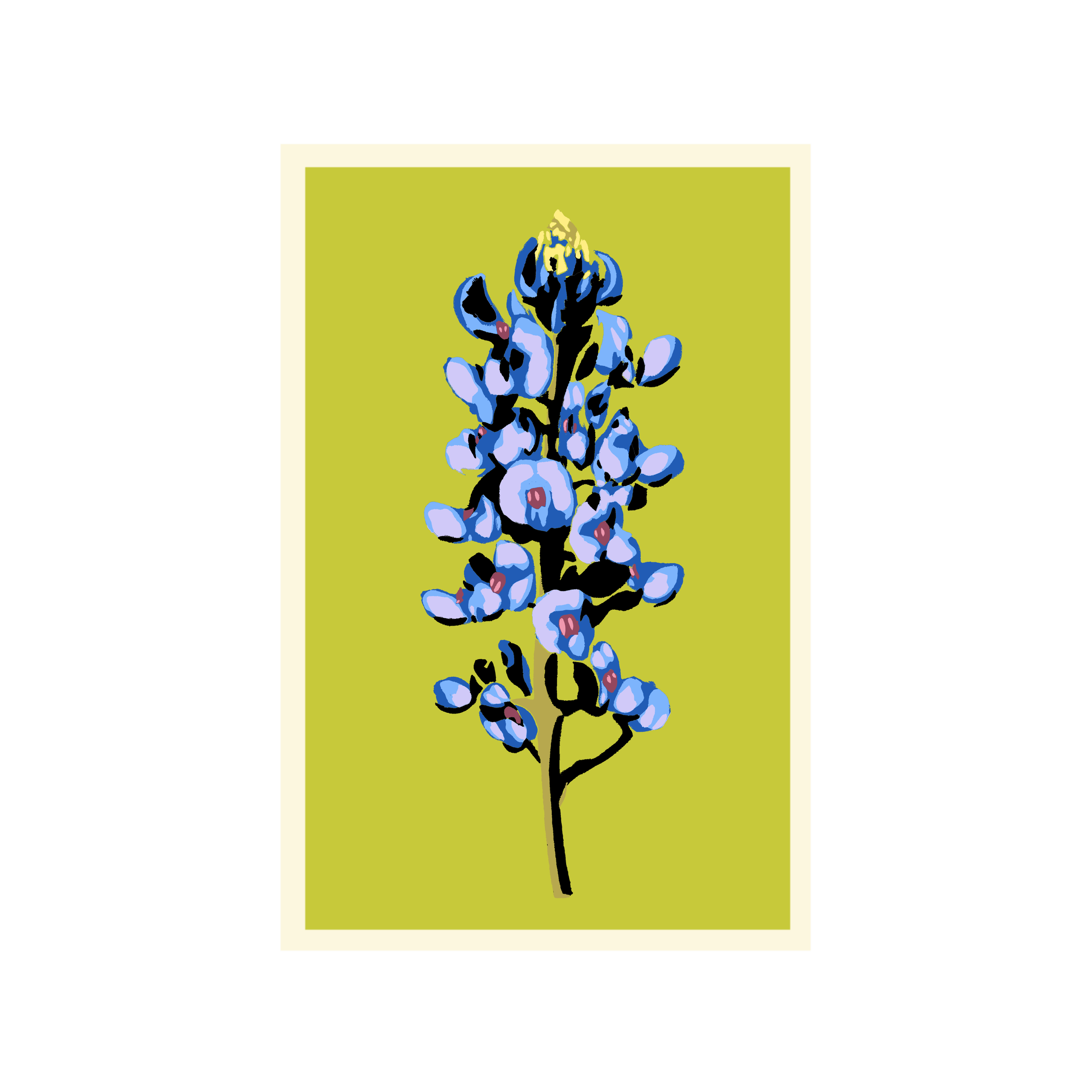 BB 20x30_us_Spring.png