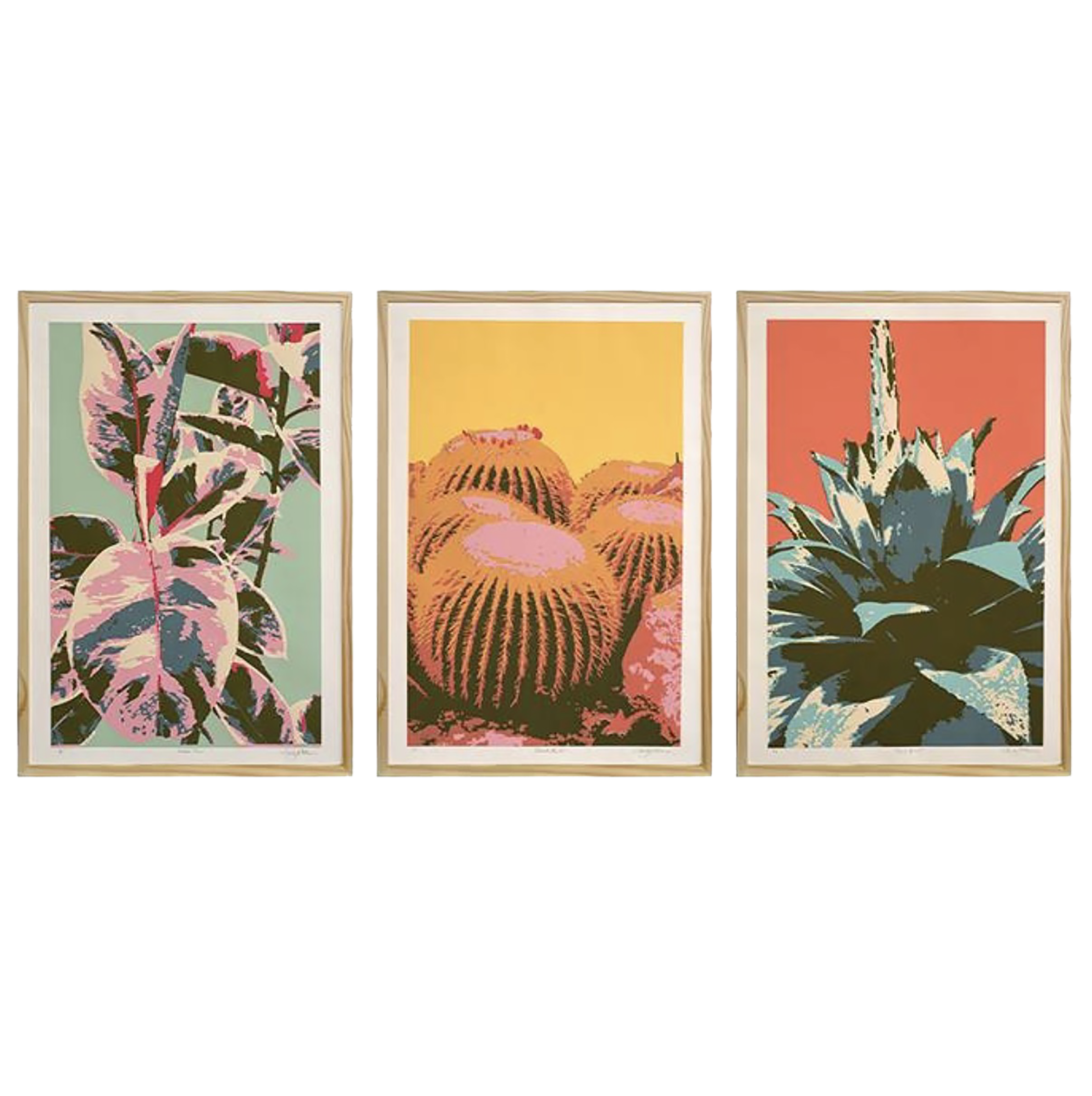 Succulent Partt.png