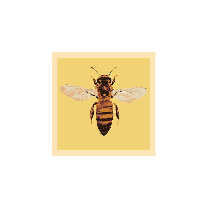 Bee_web 2.png