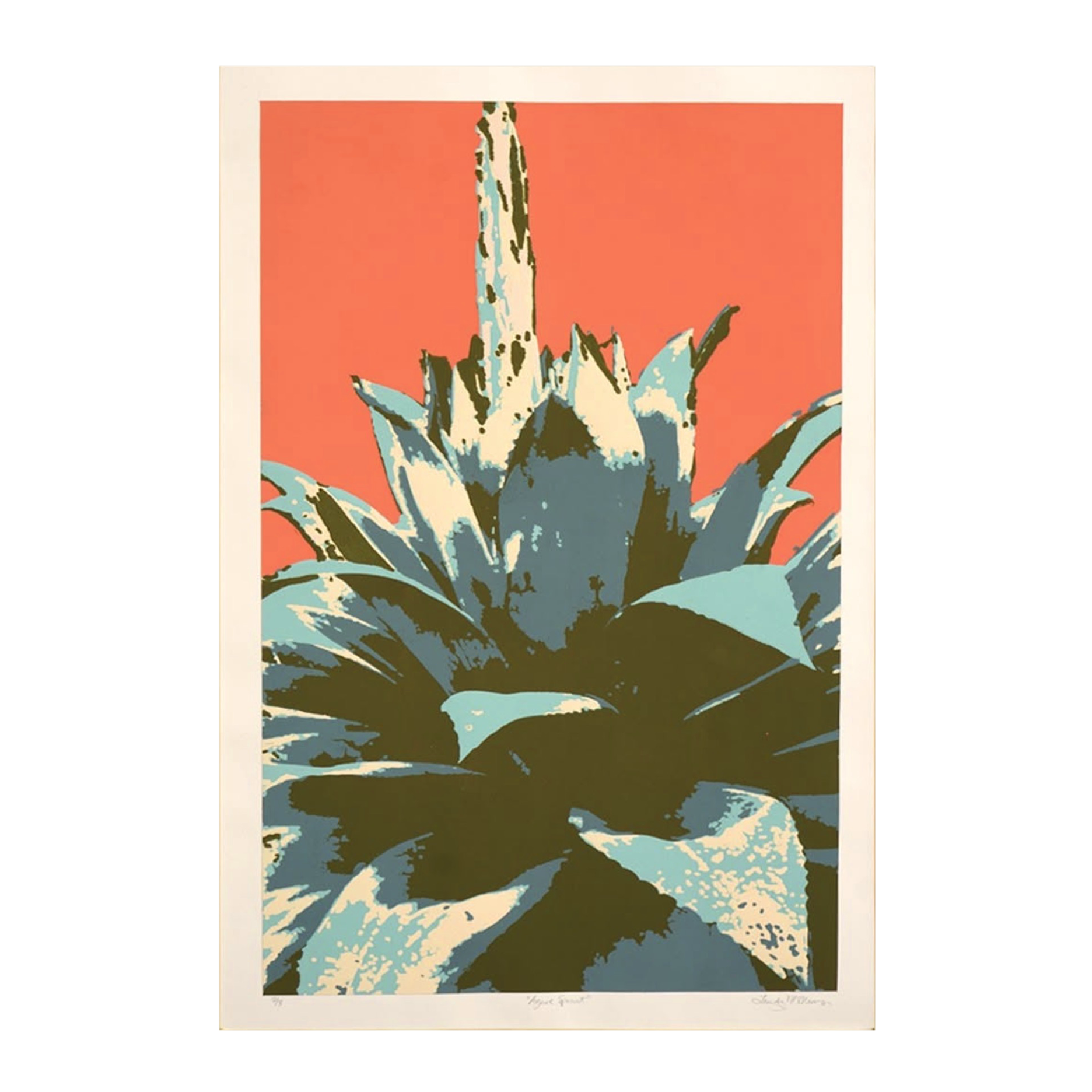 SP_Agave2.png