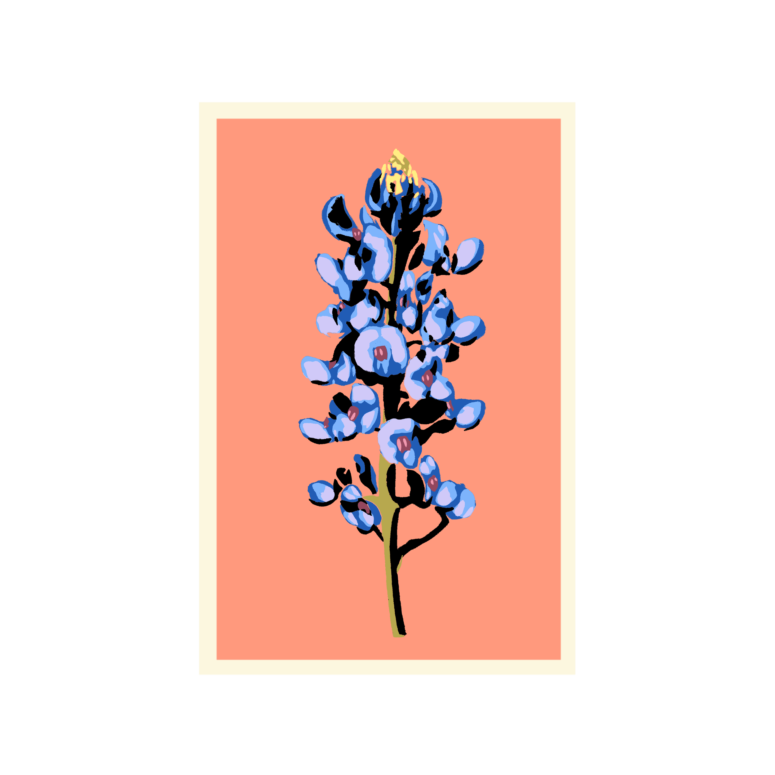 BB 20x30_us_Coral.png