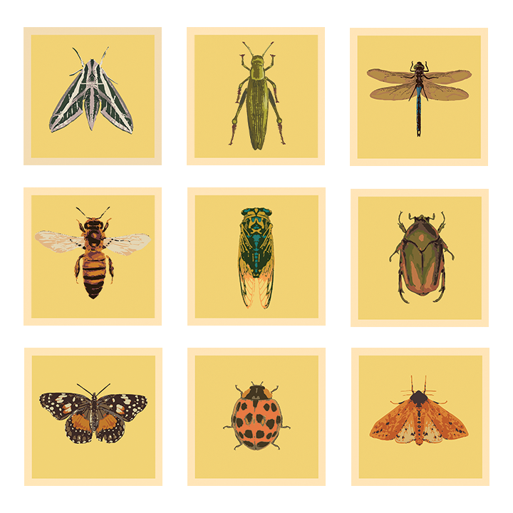 Bug Grid 18x18_web.png (Copy) (Copy)