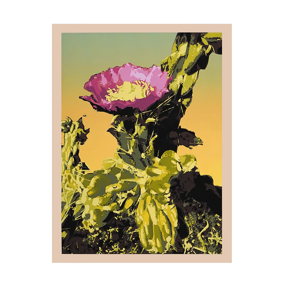 Cholla Blossom.png